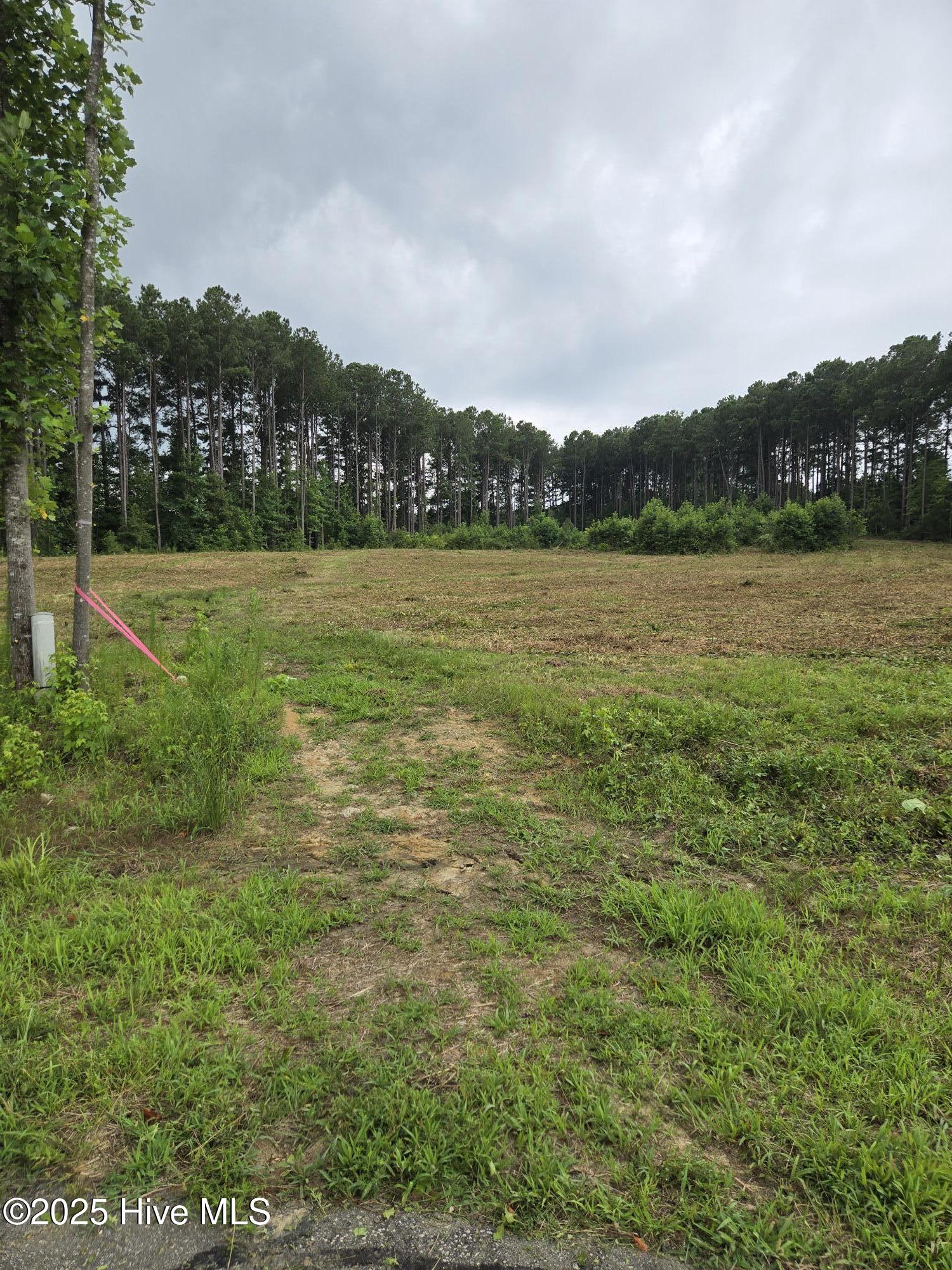 Morganshire-Lot 51