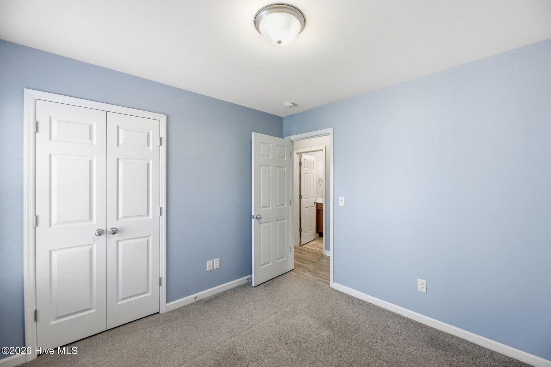 100563197 | Photo 16