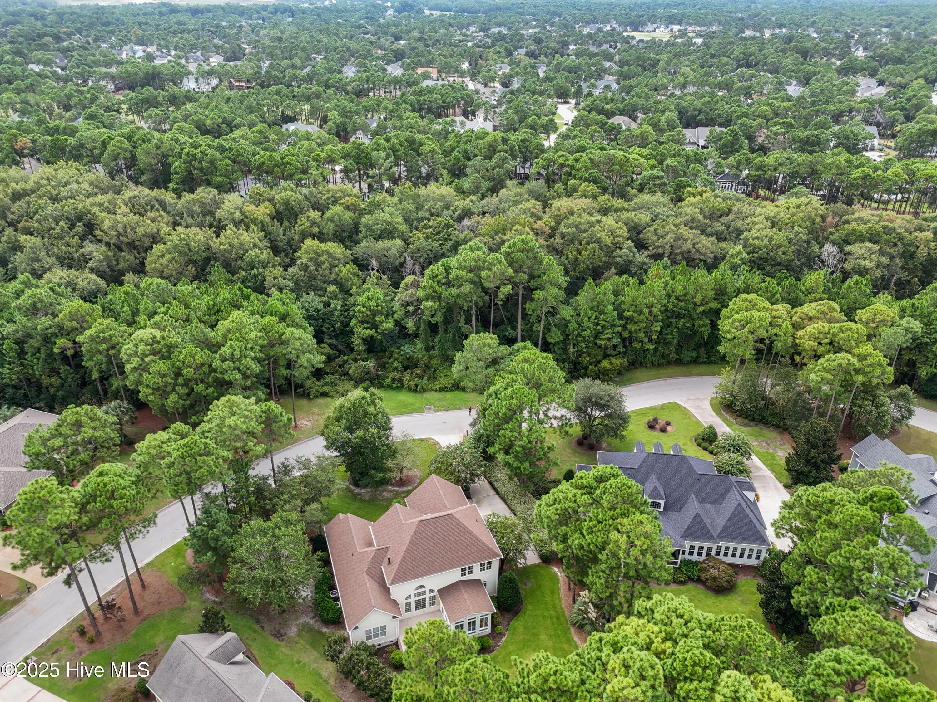 100526720 | Photo 49