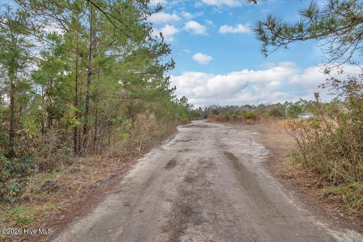 Homes for sale in Leland, NC | 1705 Colon Mintz Rd Ne, Leland, NC 28451 | MLS# 100548793