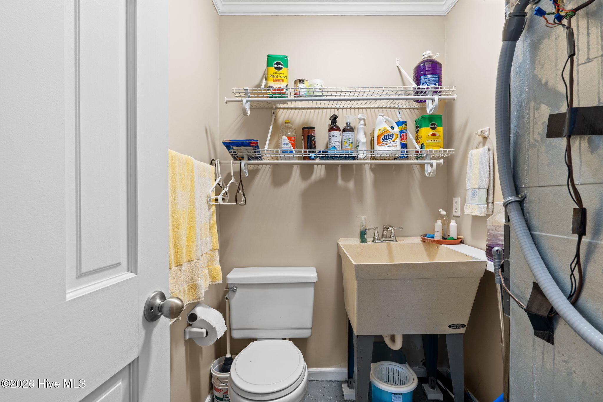 100564261 | Photo 33