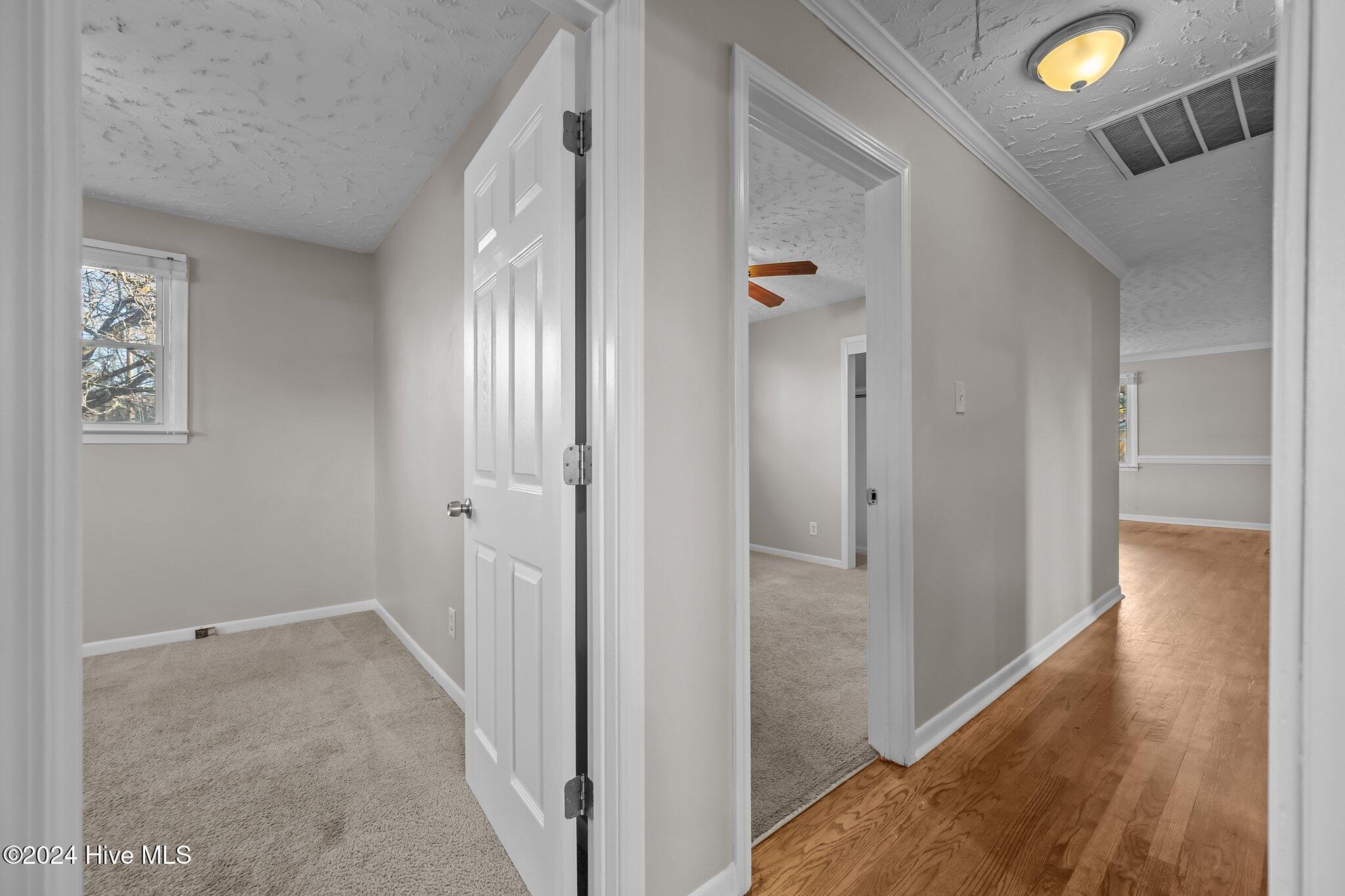 100552897 | Photo 15