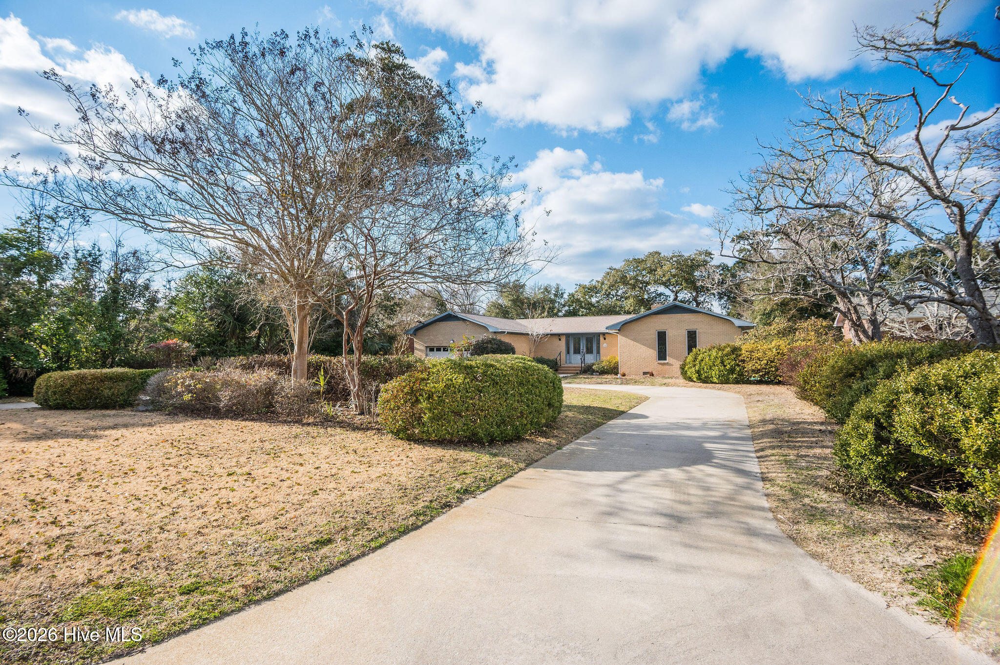 100556602 | Photo 73