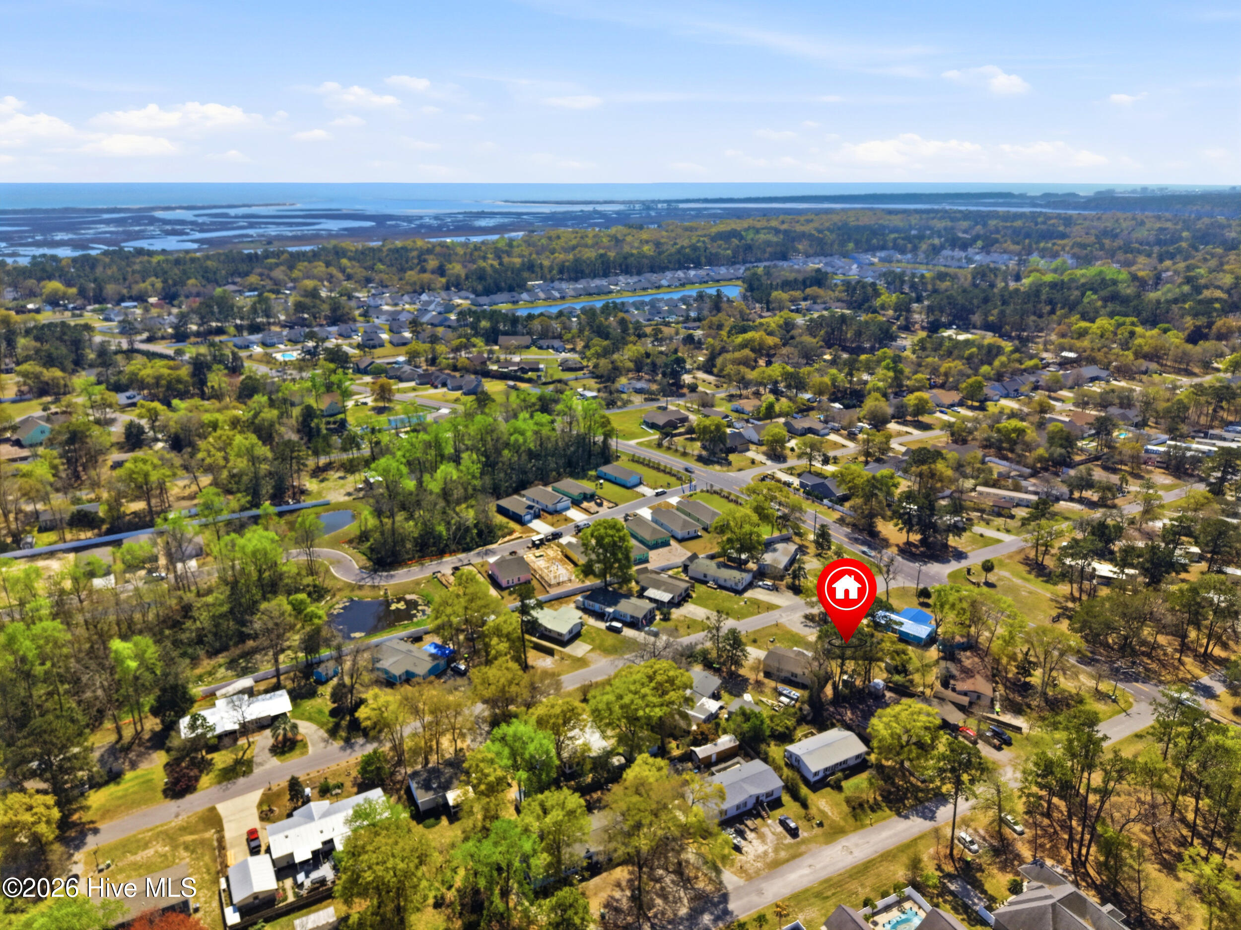 100564185 | Photo 37