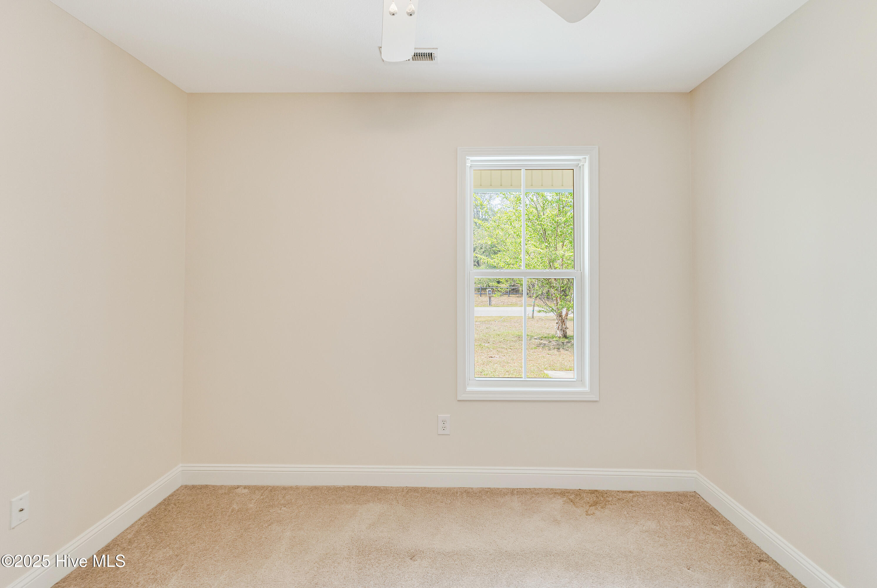 100505553 | Photo 27