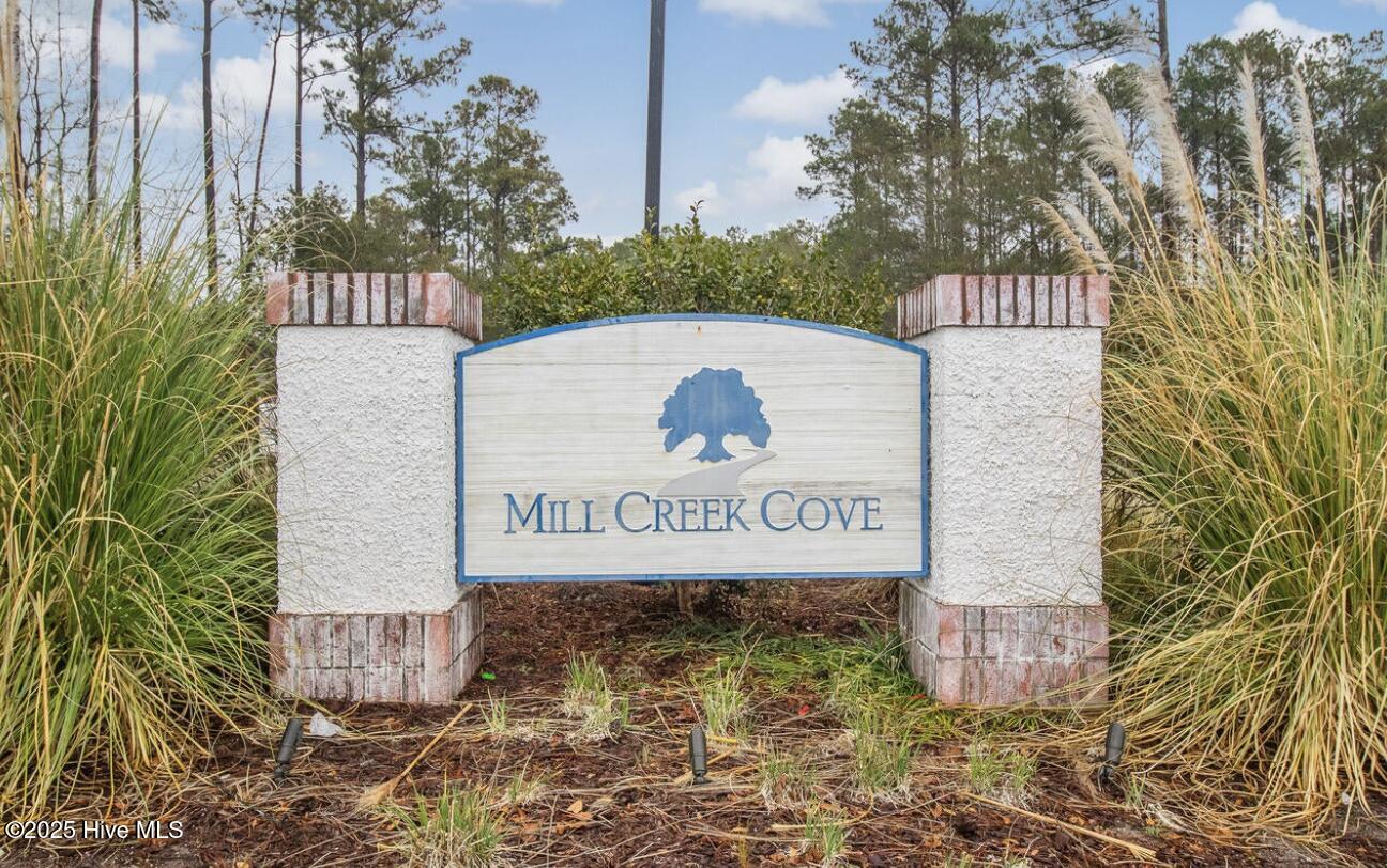 100485279 | Photo 40