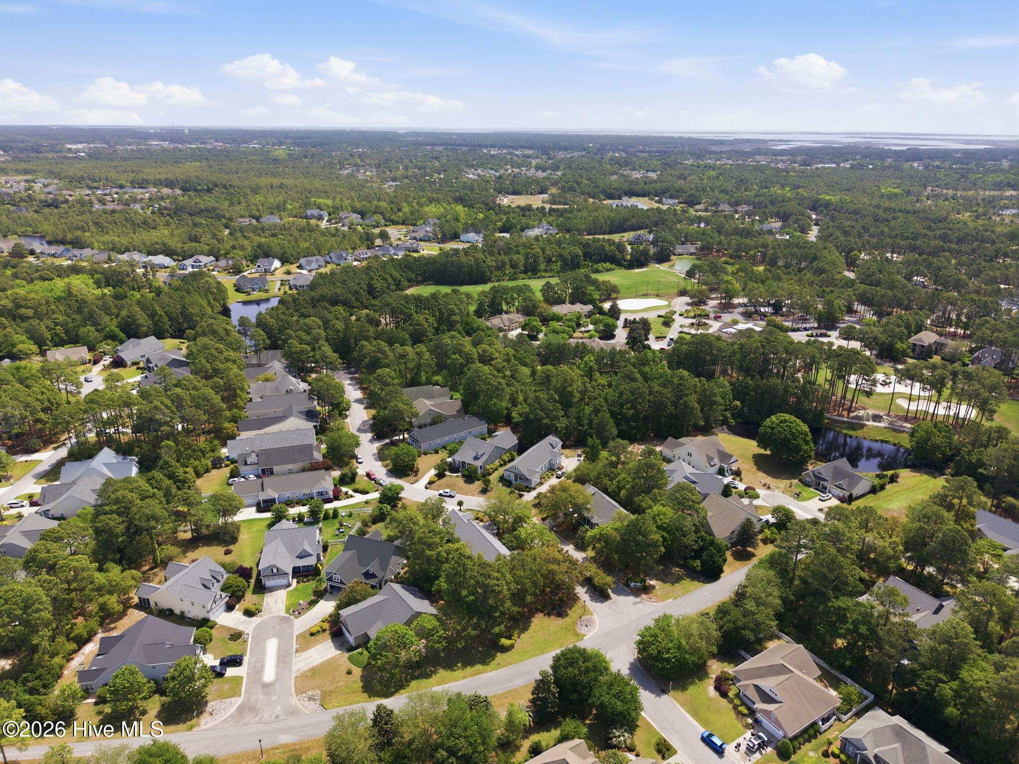 100569459 | Photo 52