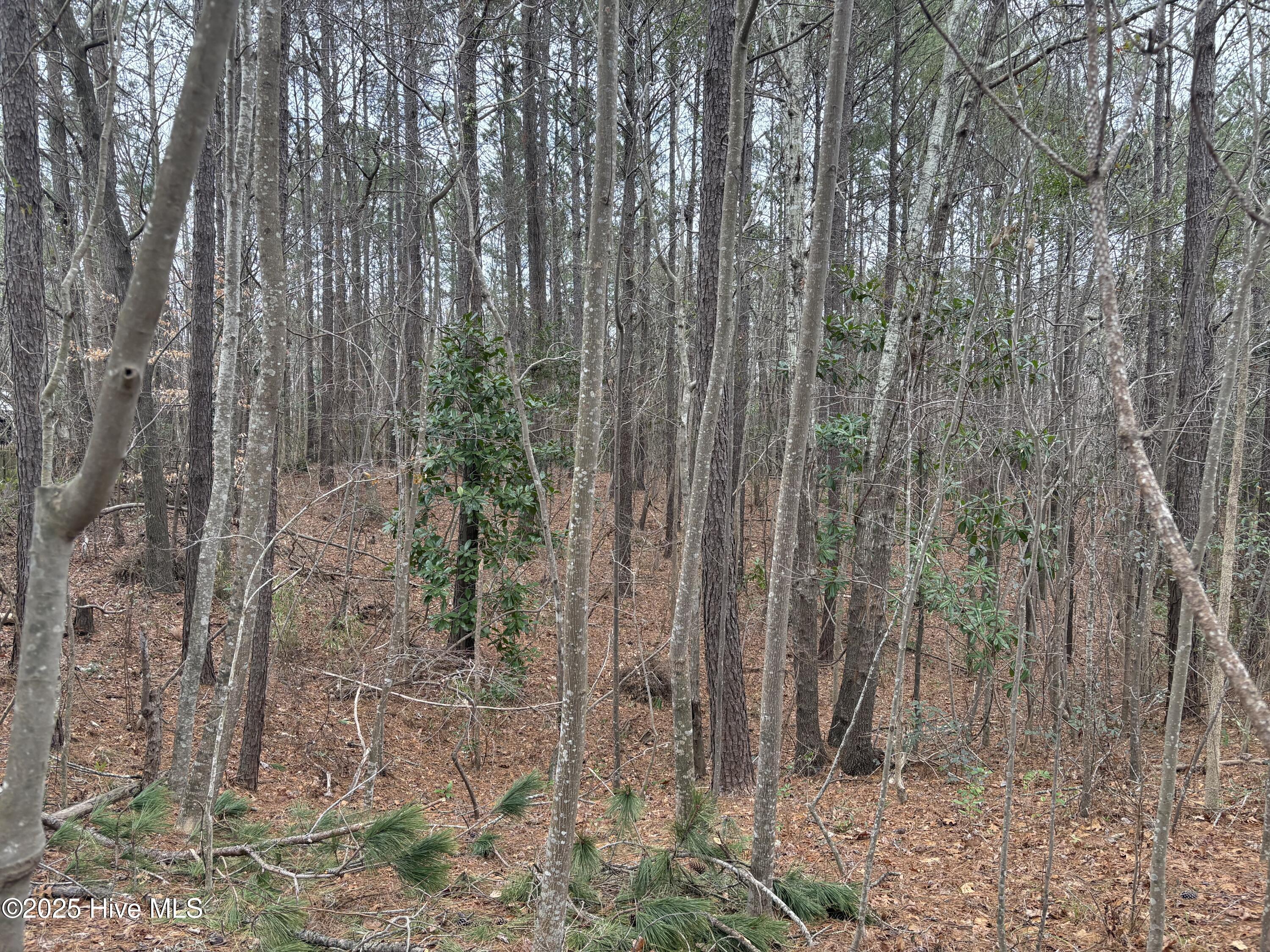211 Green Trees 