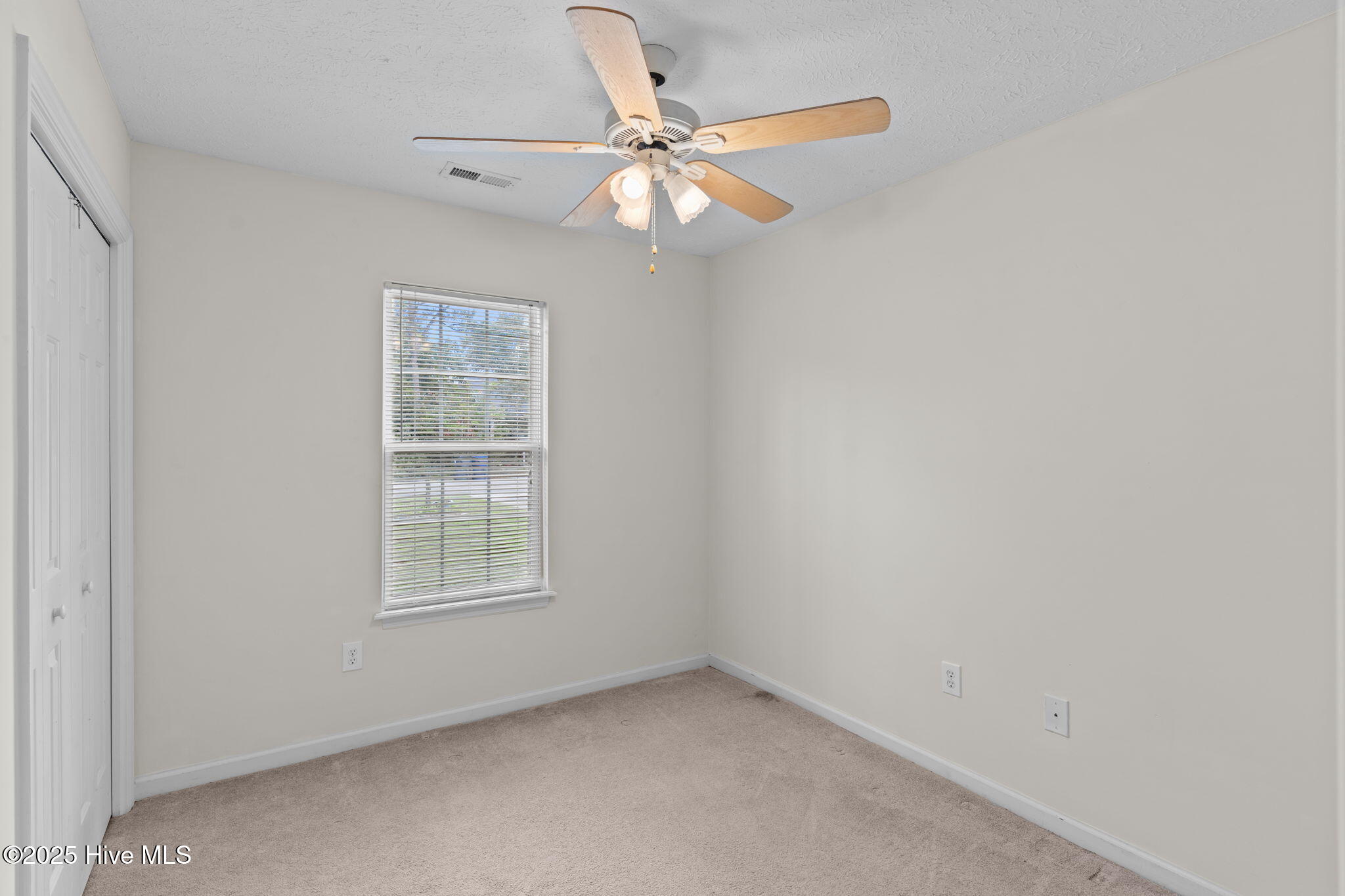 100526319 | Photo 31