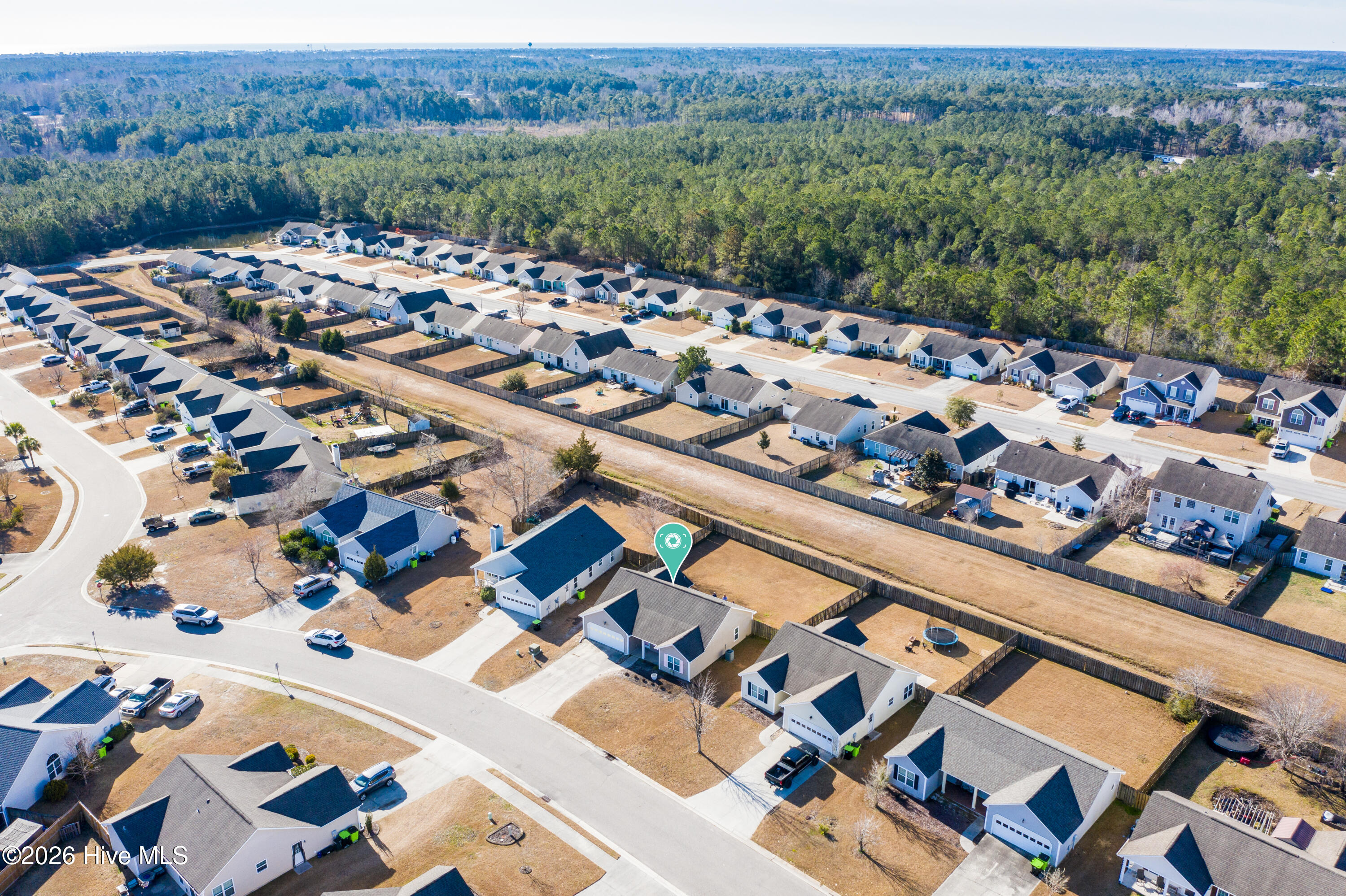 100550562 | Photo 37