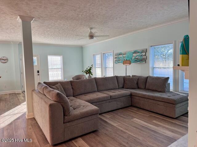 100545035 | Photo 35