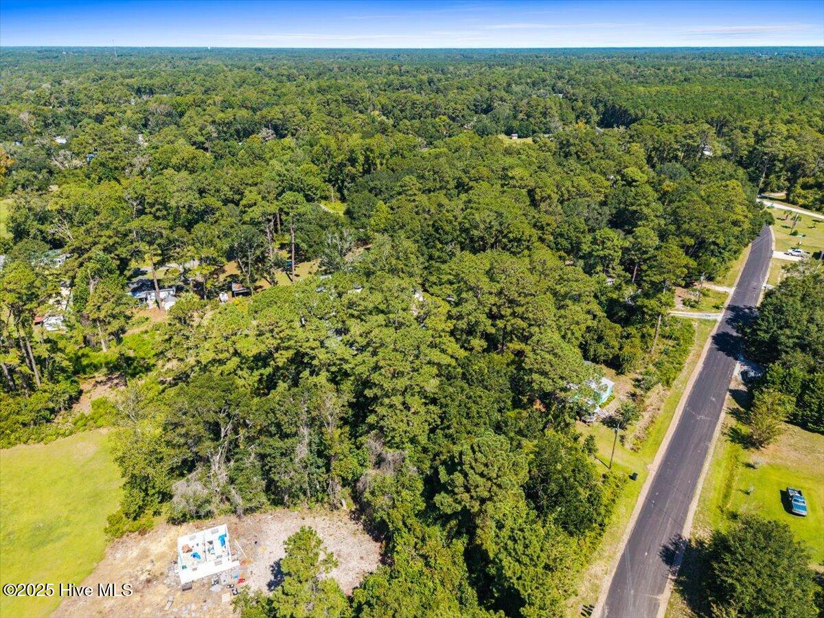 100538571 | Photo 15