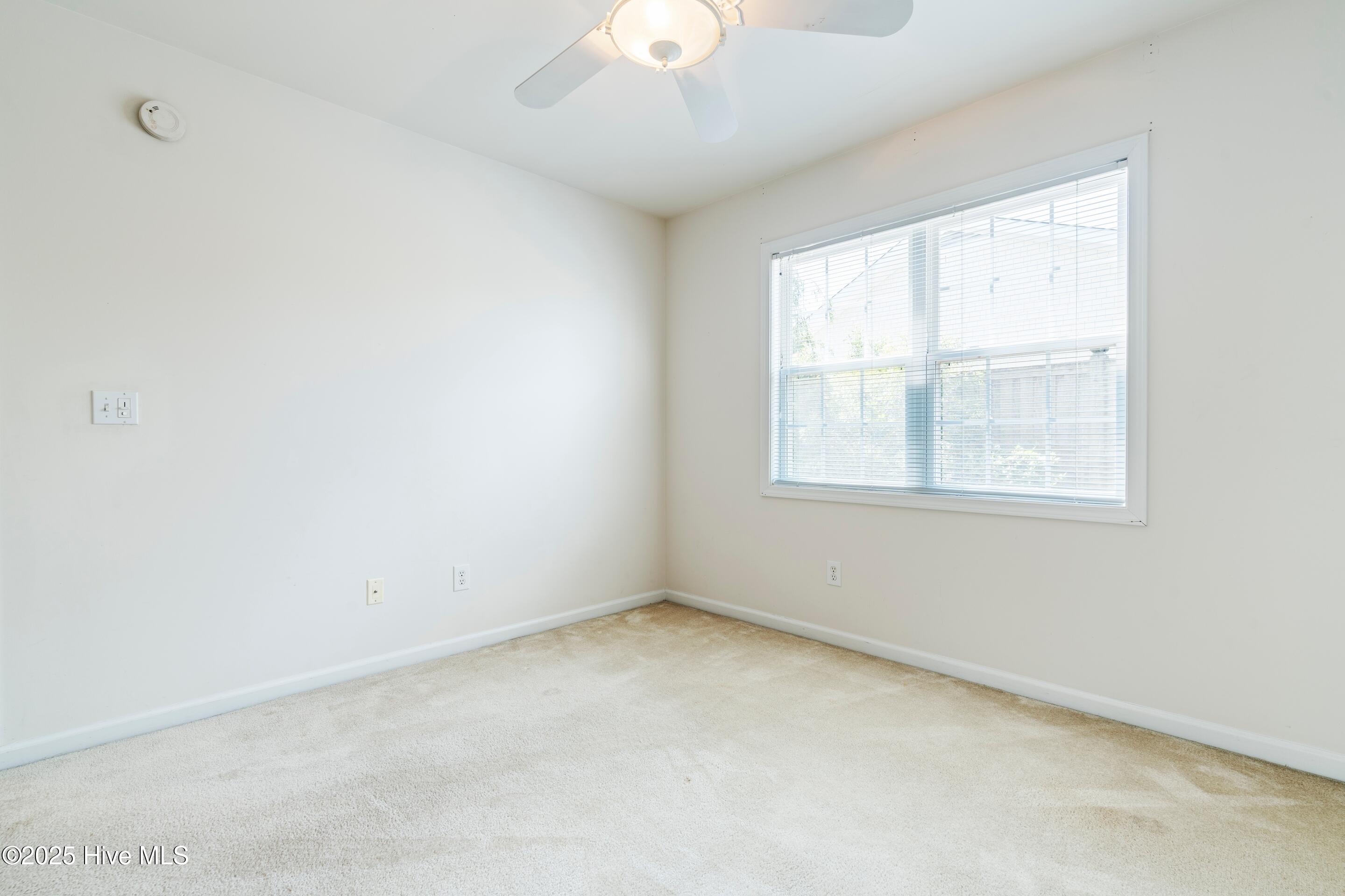 100511628 | Photo 45