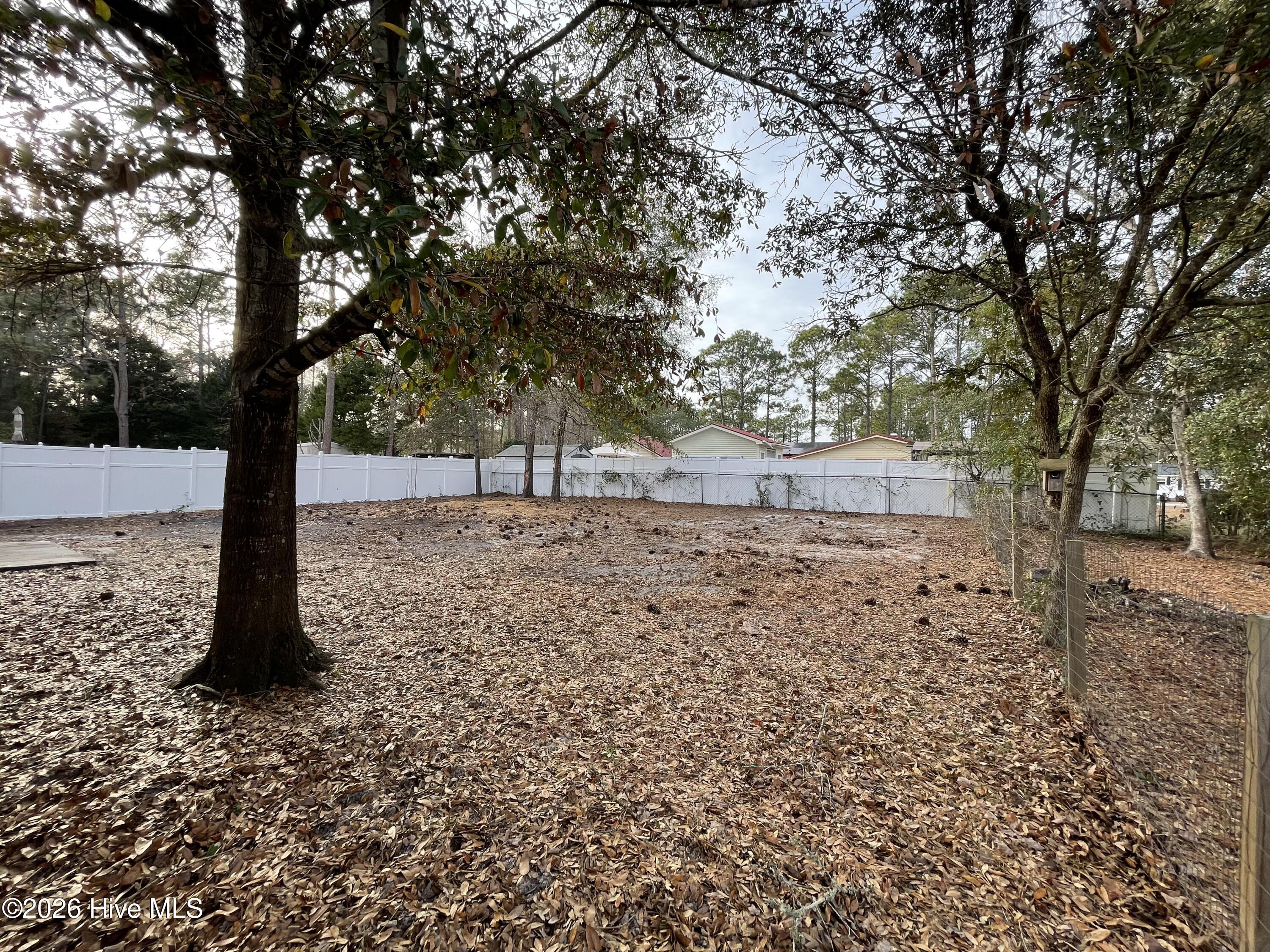 100548174 | Photo 32