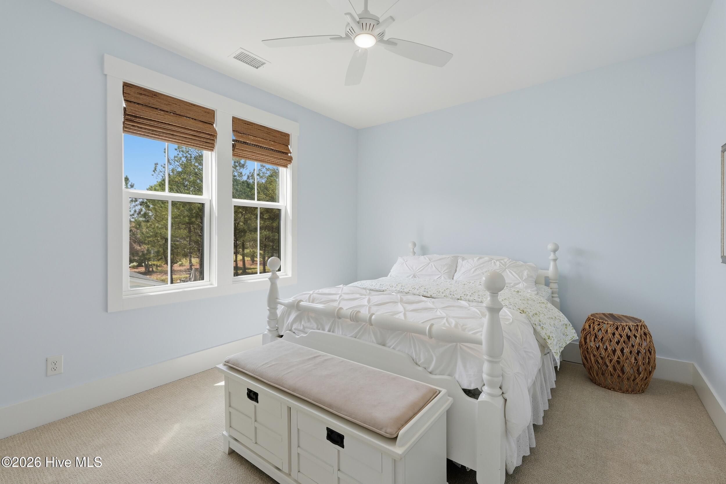 100563980 | Photo 57