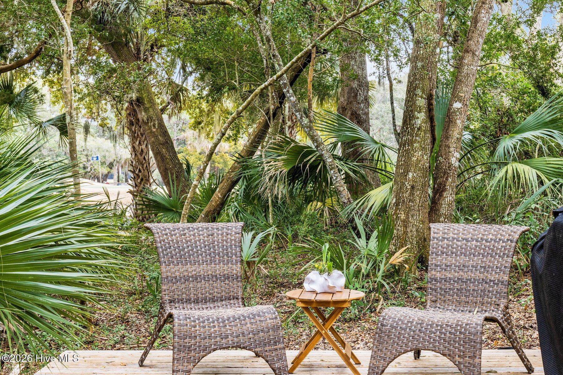 100554015 | Photo 50