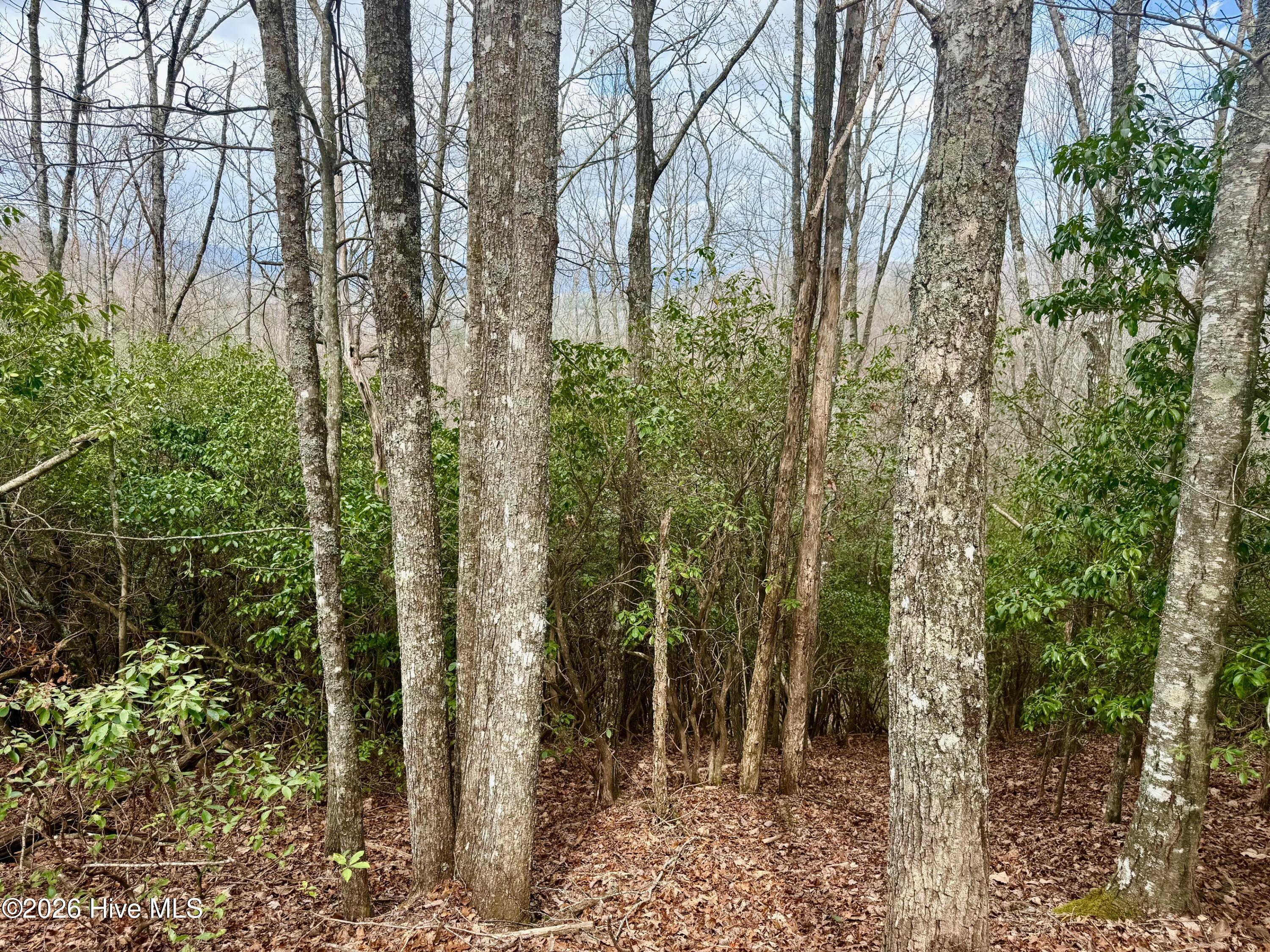 Exterior photo of 00 Ridgeline Drive, Brasstown, NC 28902. MLS: 100581817
