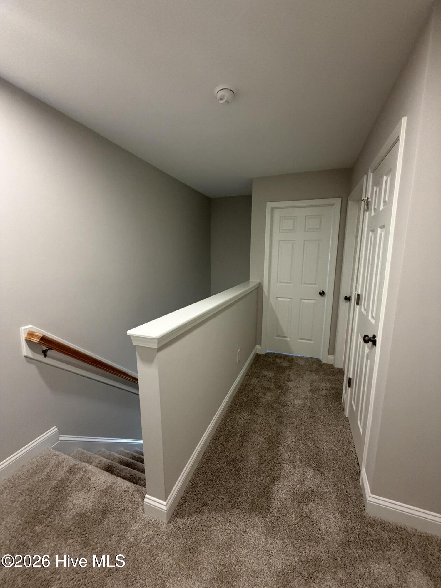 100558167 | Photo 16