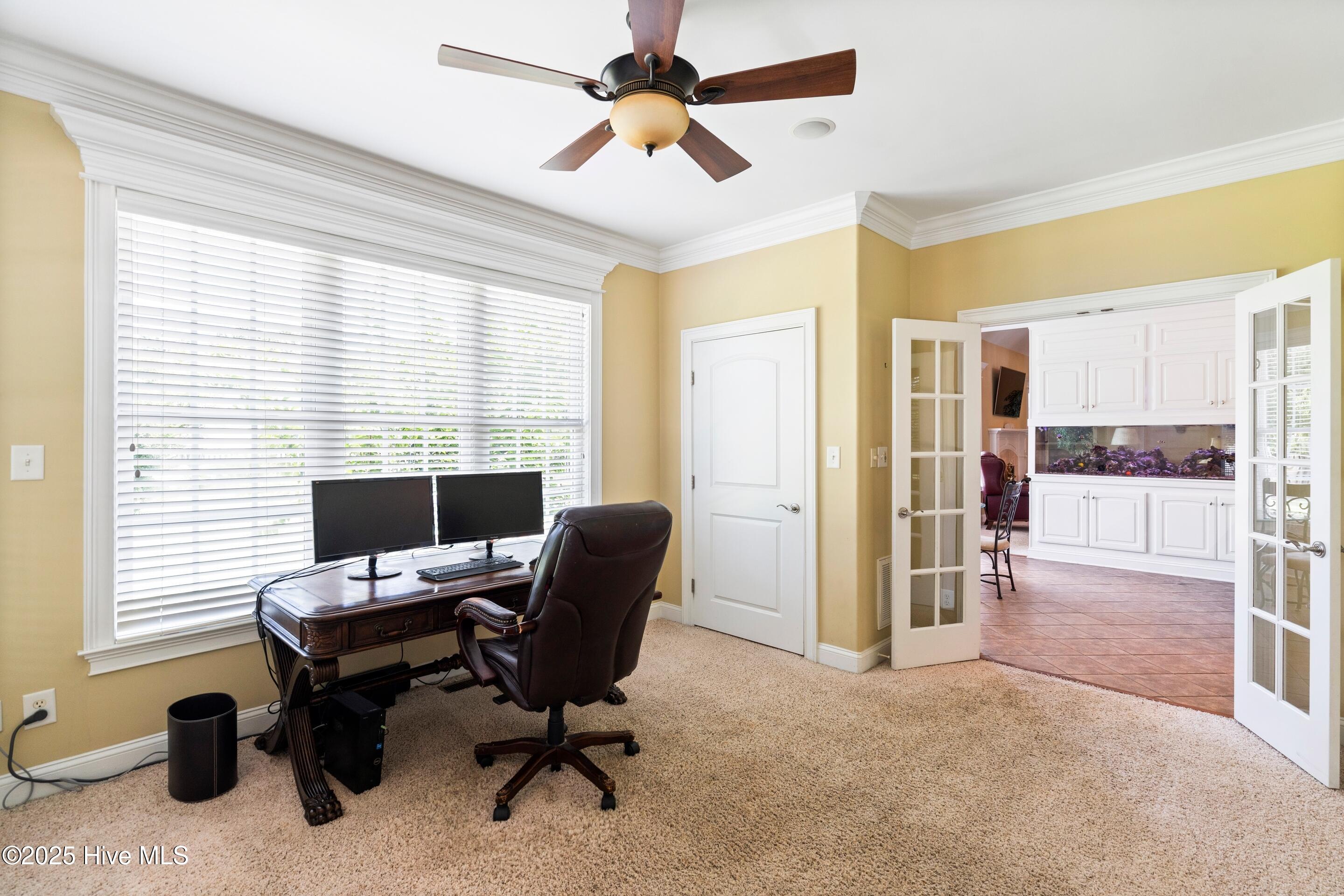 100518438 | Photo 27