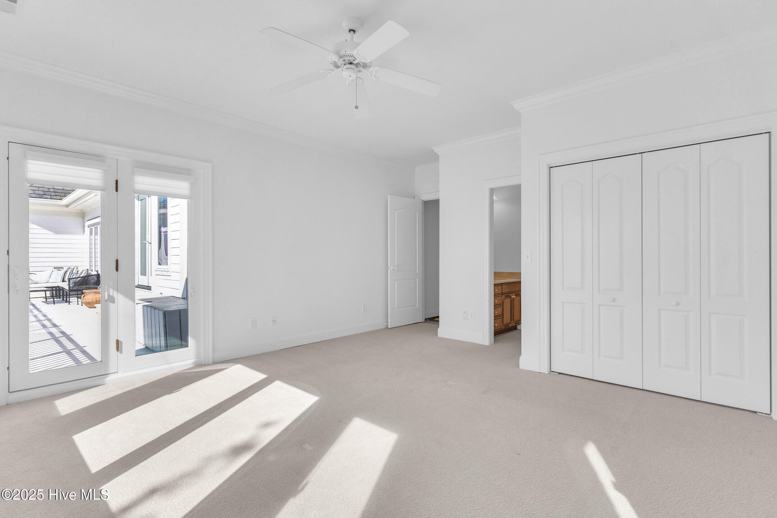 100505592 | Photo 32