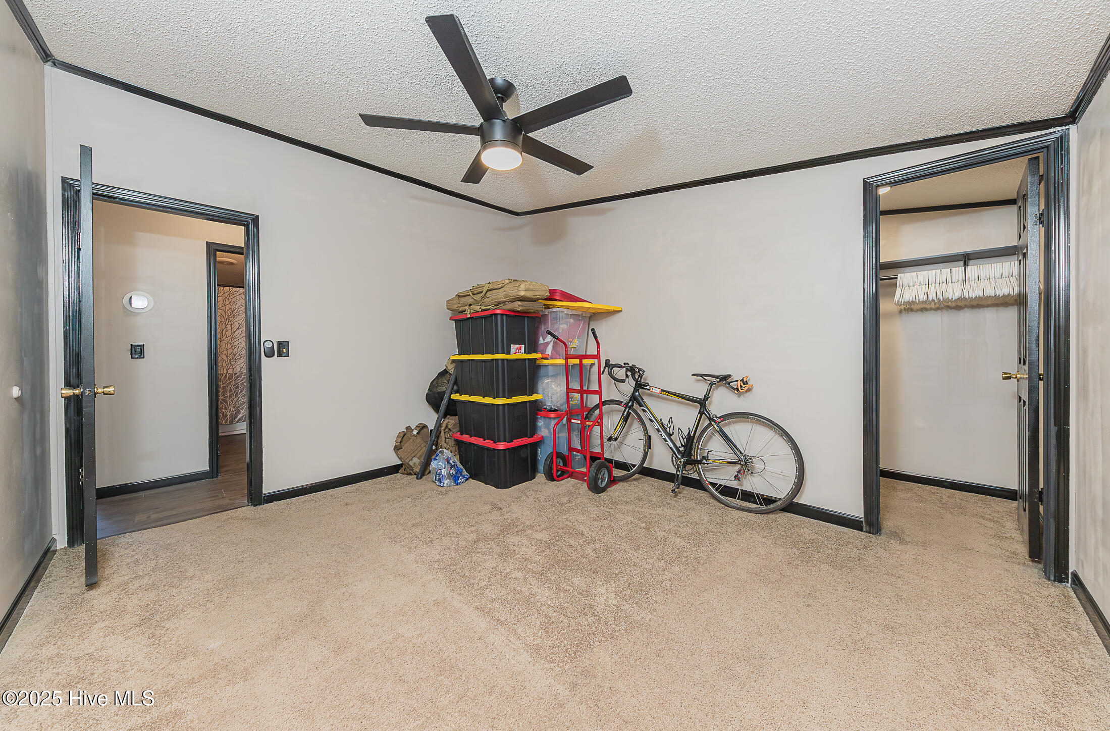 100546784 | Photo 38