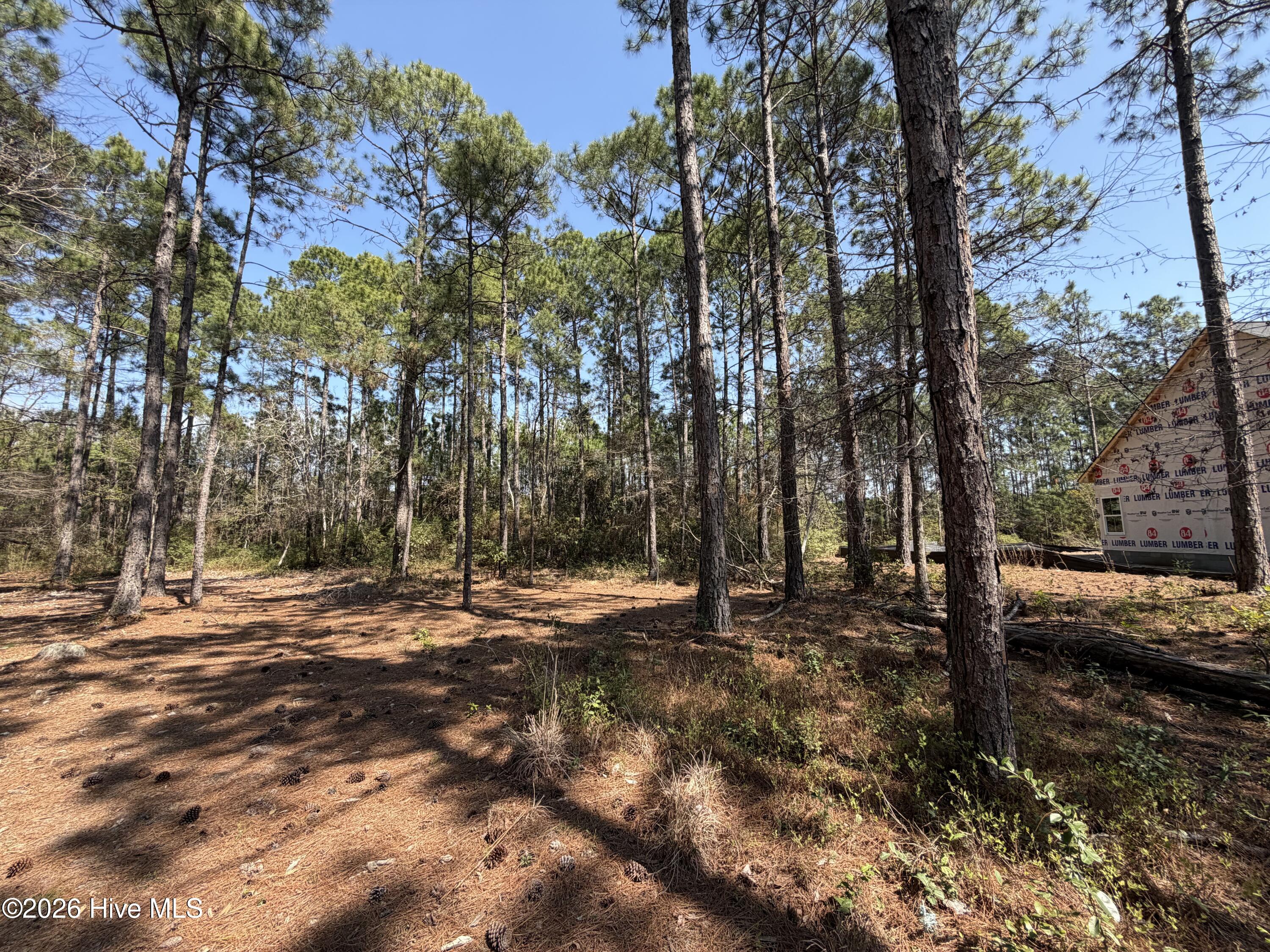 6786 Holton Place, Ocean Isle Beach, NC, 28469