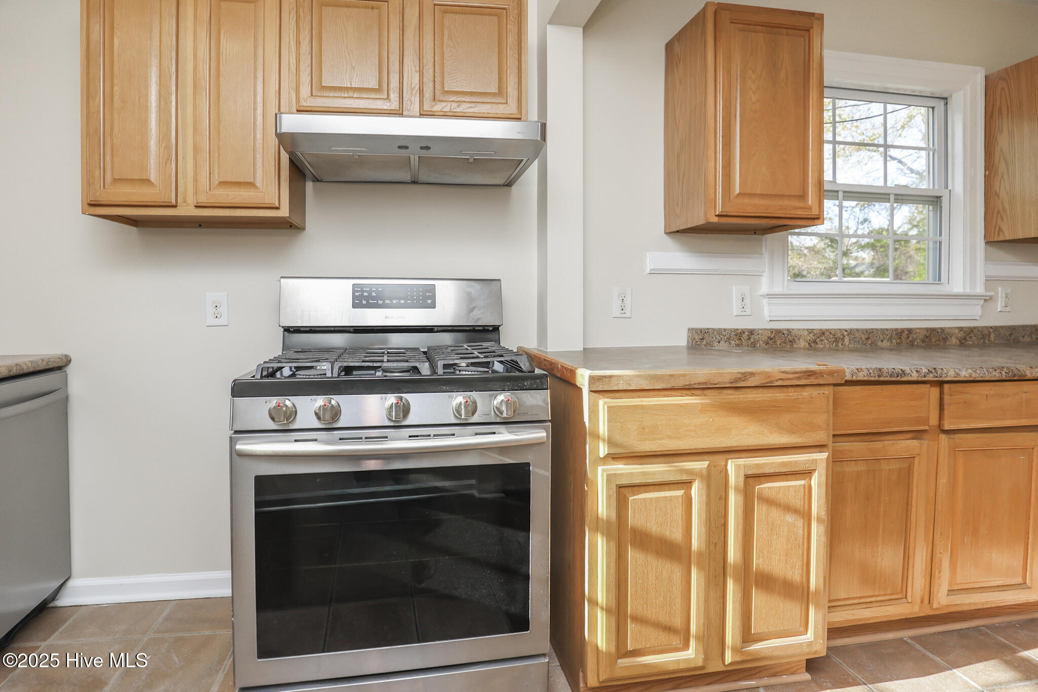 100542091 | Photo 11