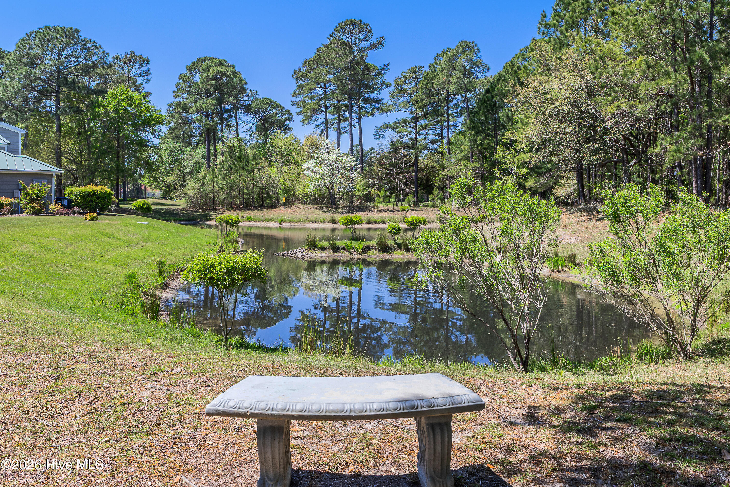 100566975 | Photo 32