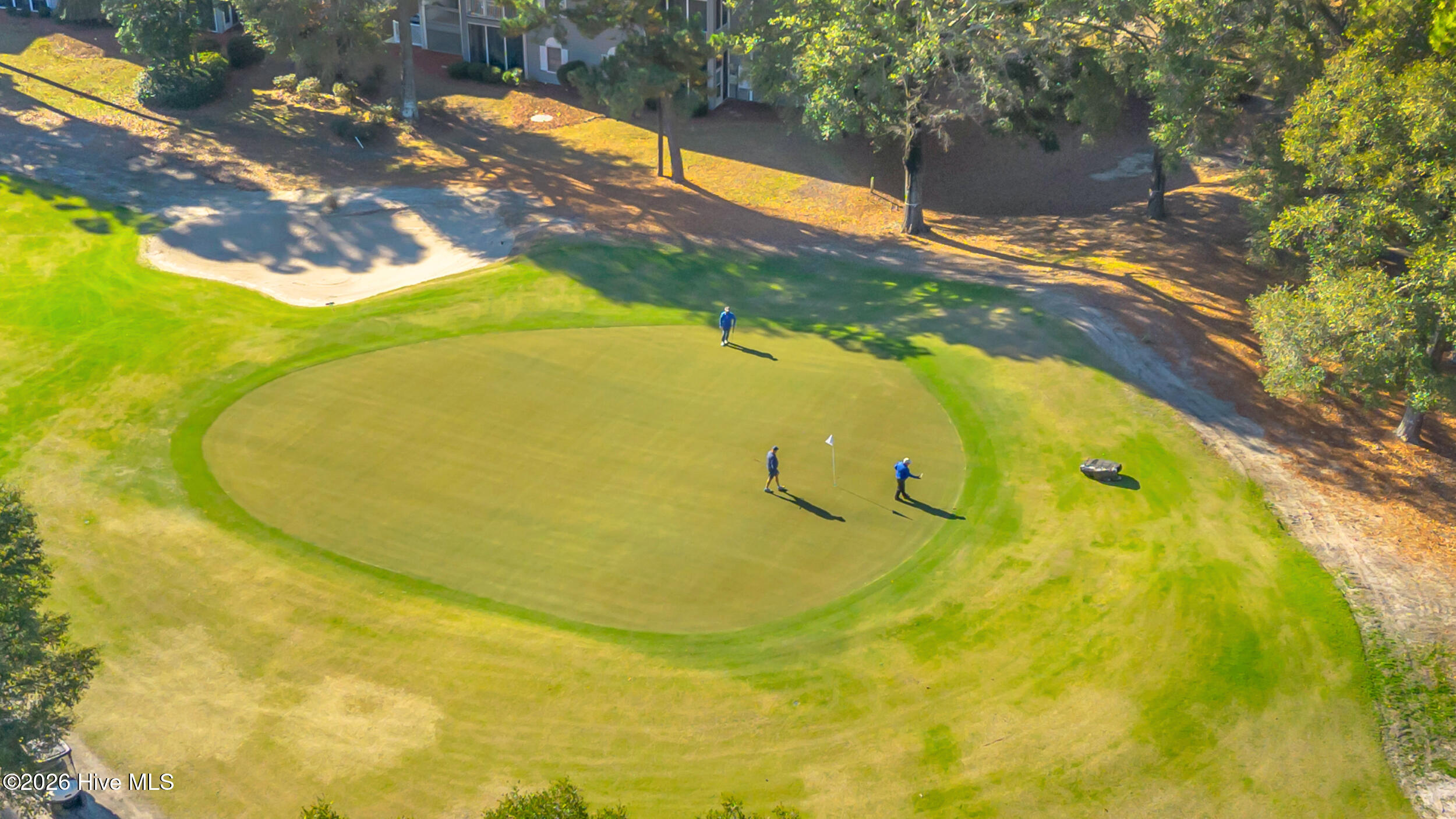 100564154 | Photo 64