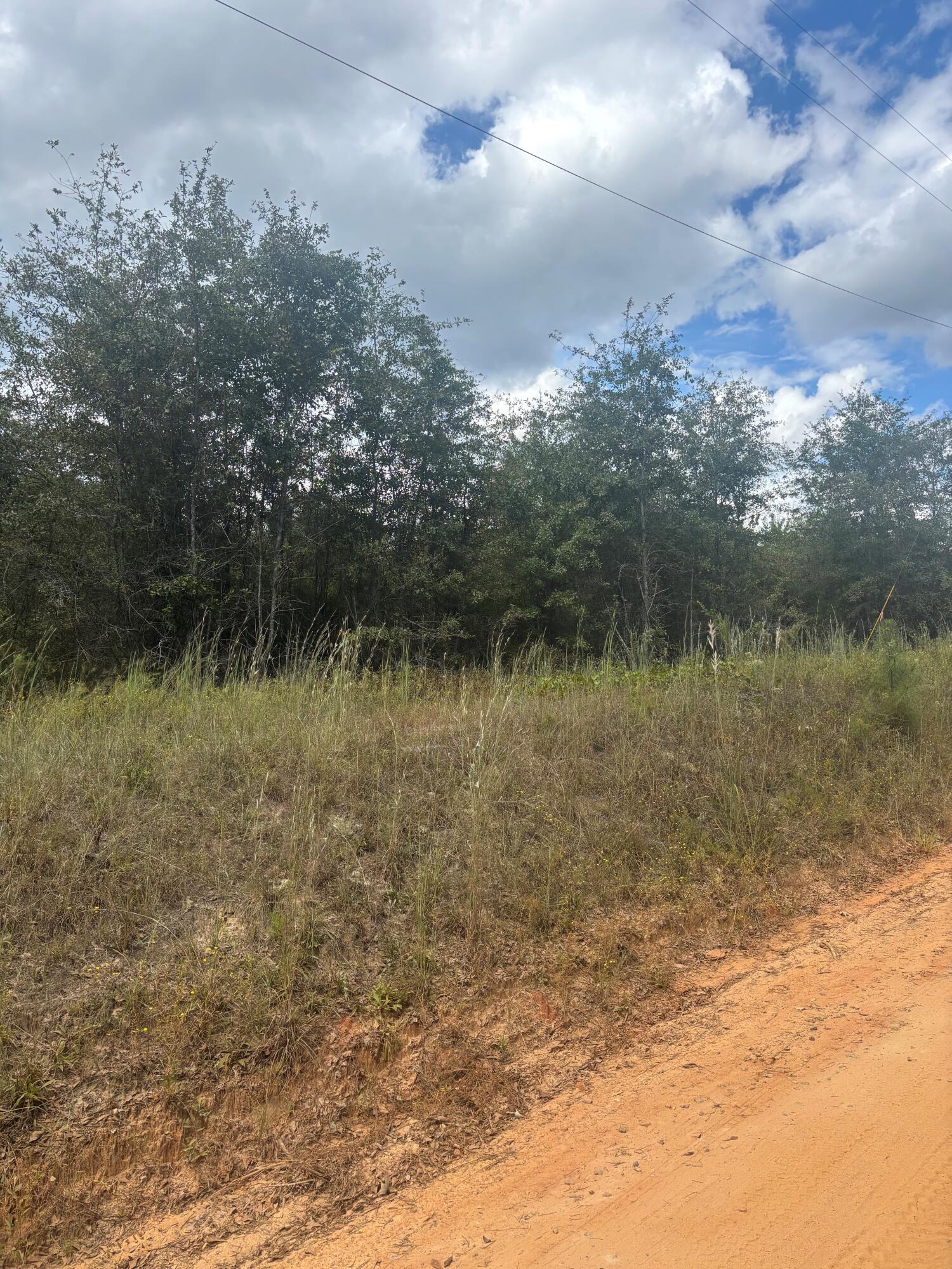 Homes for sale in Gibson, GA | 0 Lamp Road, Gibson, GA 30810 | MLS# 547551