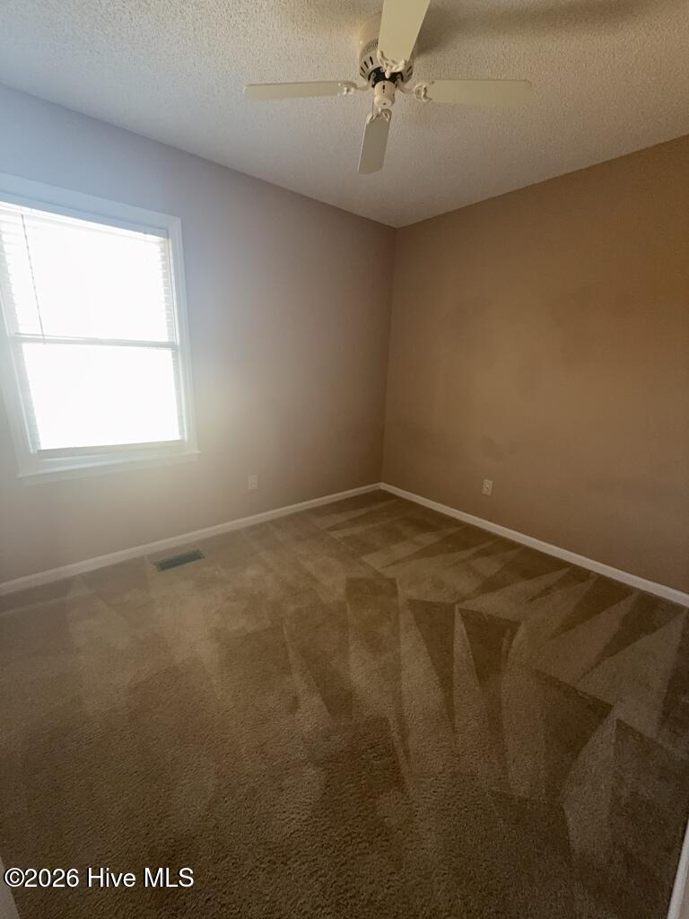 100558687 | Photo 13