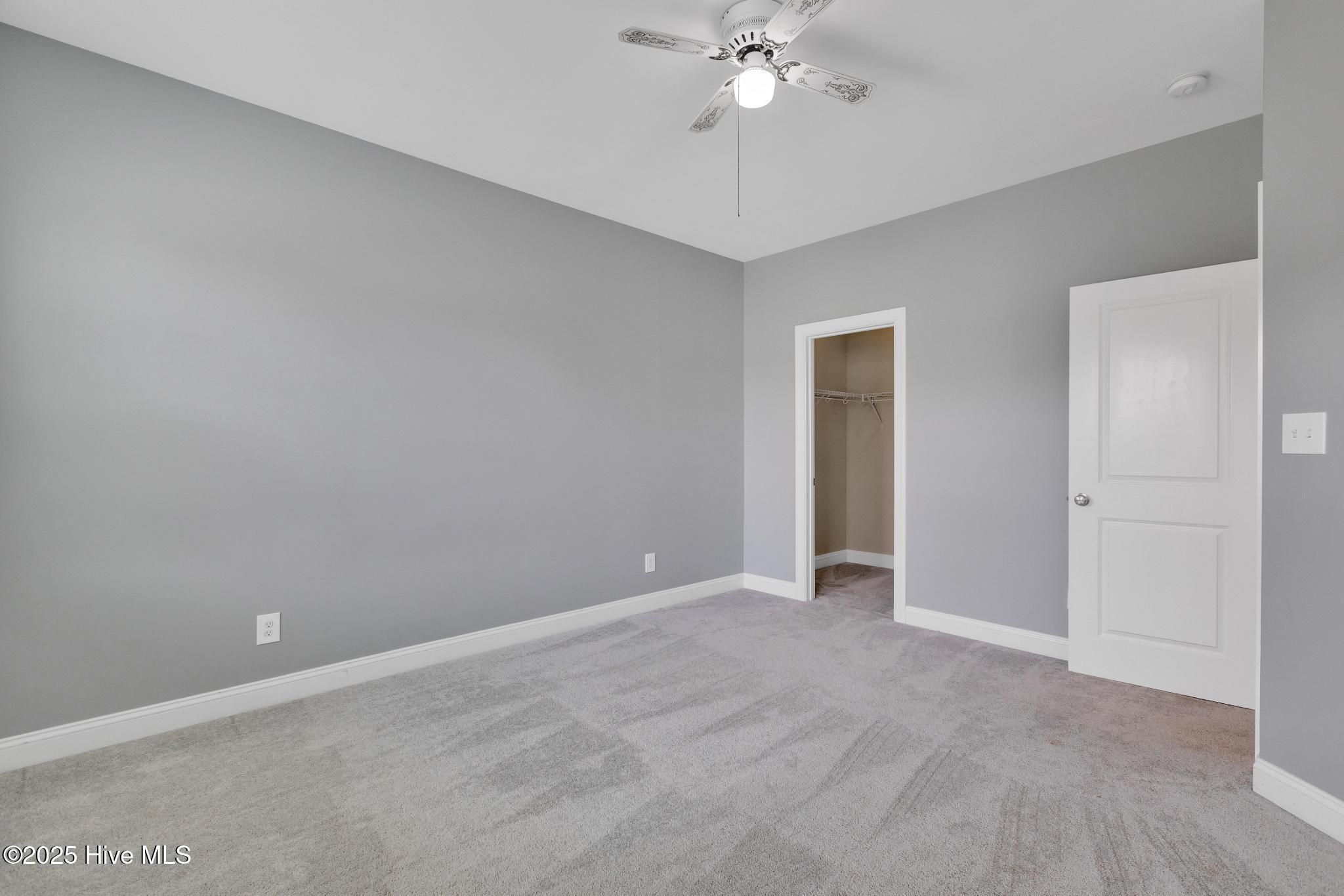 100531239 | Photo 38