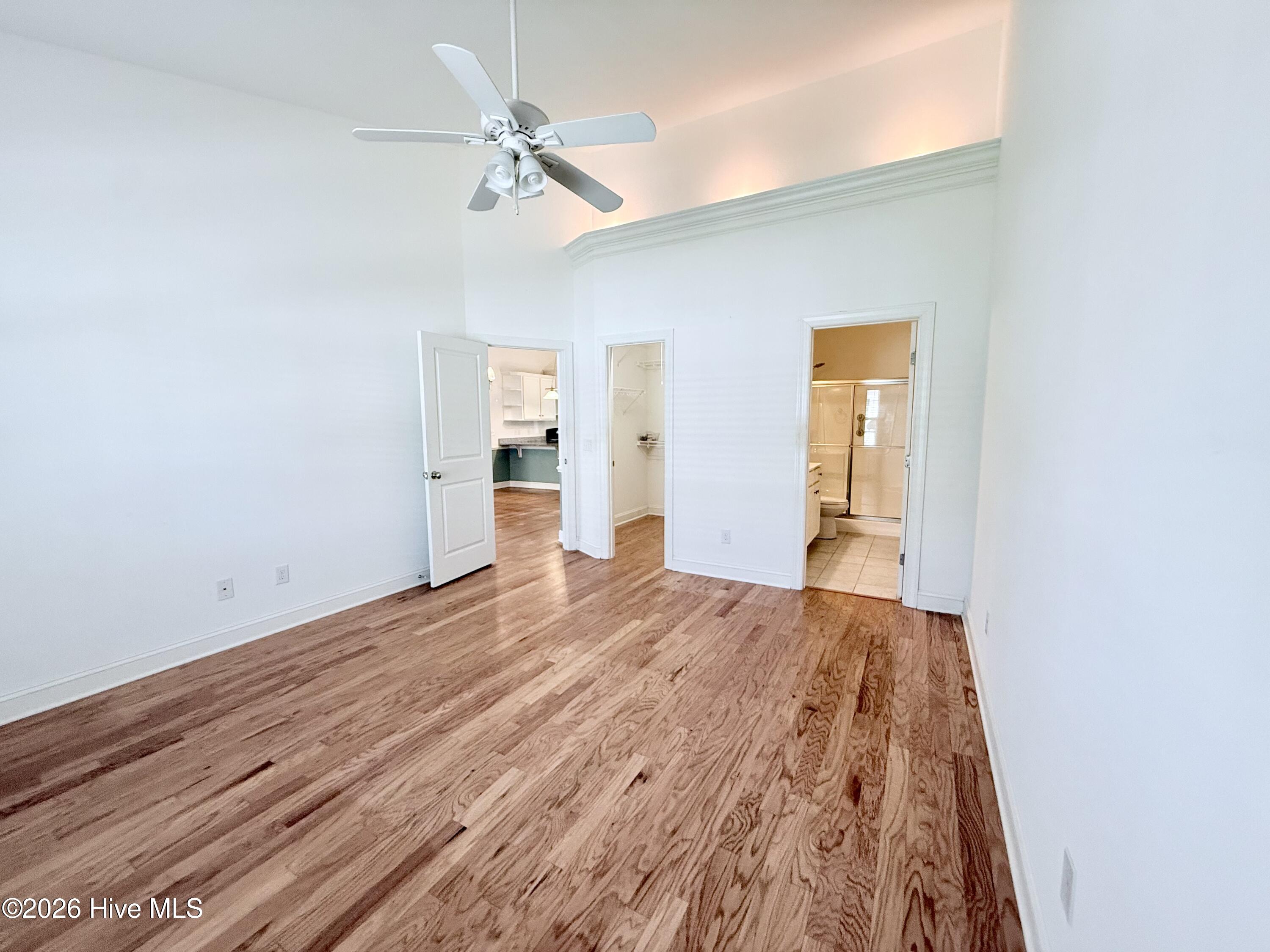 100564897 | Photo 41