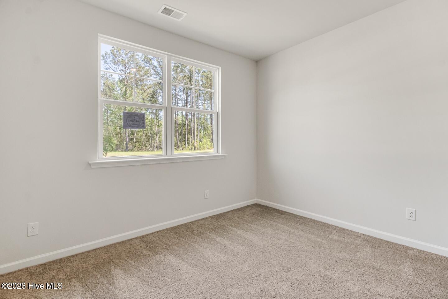 100556785 | Photo 17