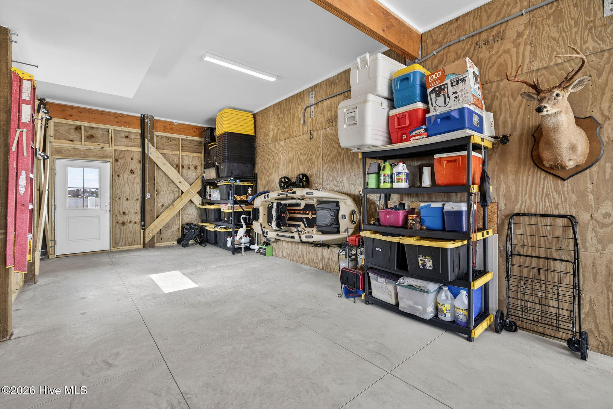 100558217 | Photo 44