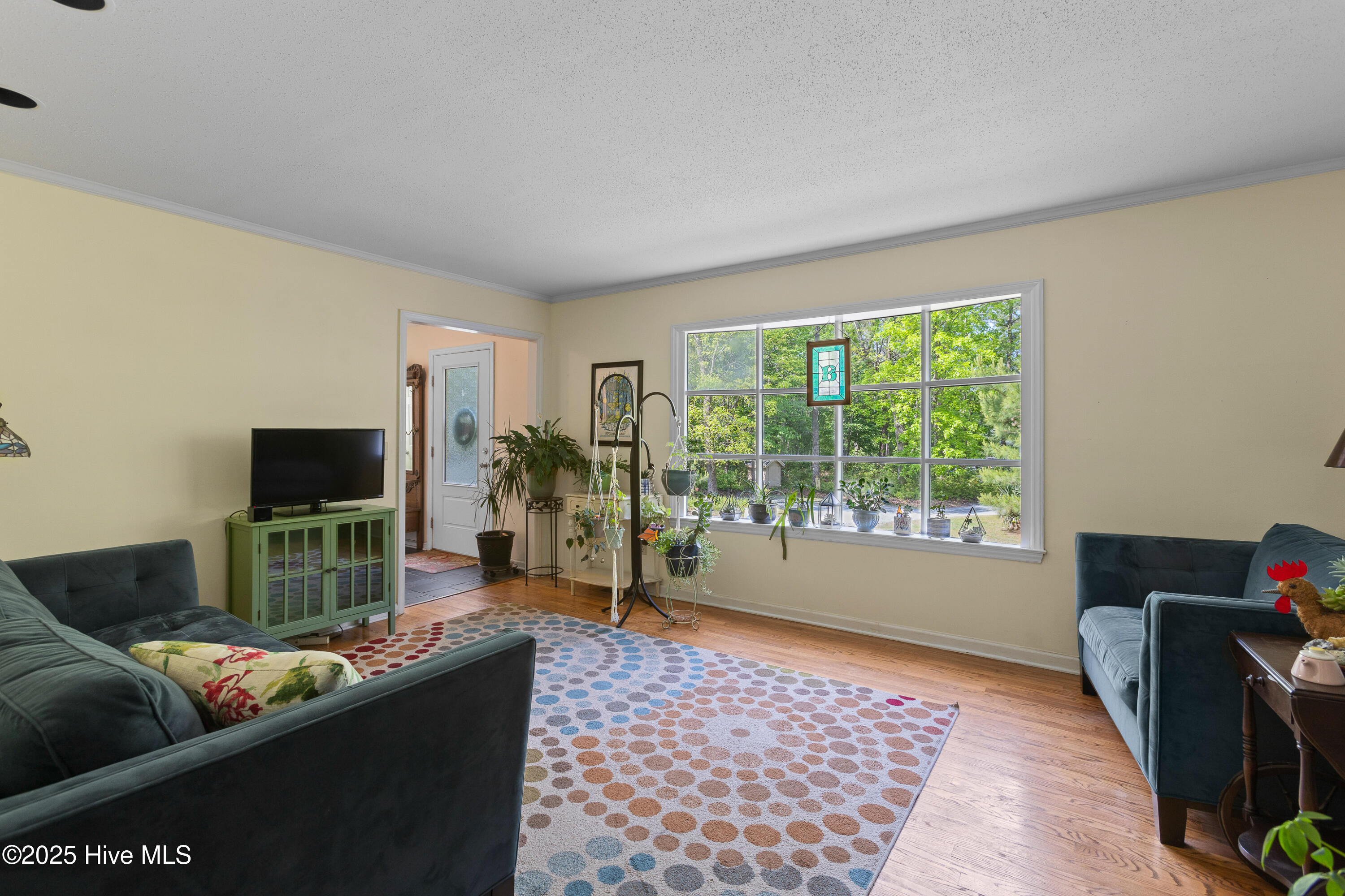 703 Baby Doe Circle, Hampstead, NC 28443 – photo 15: 0-14