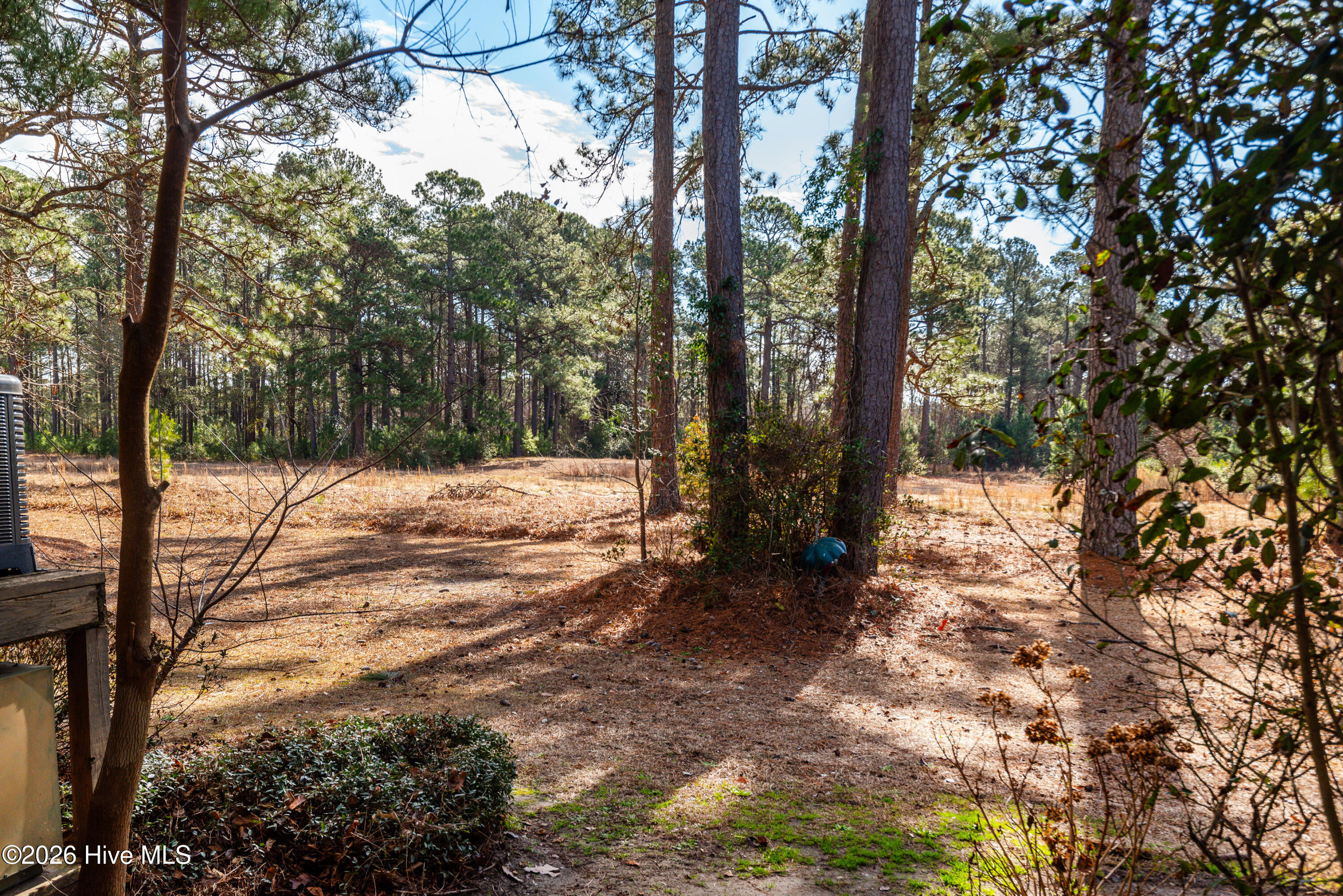 100550917 | Photo 21