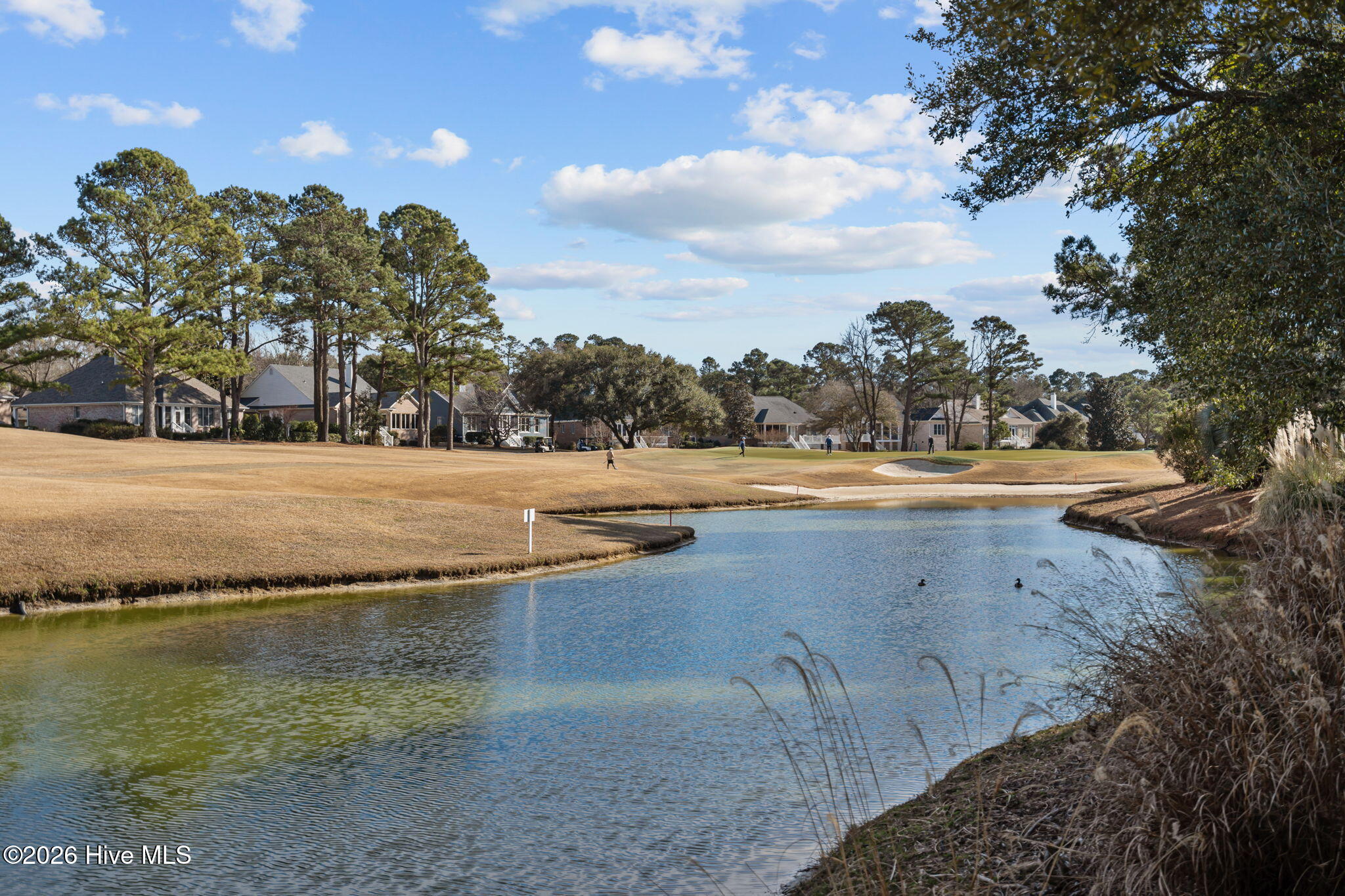 100554468 | Photo 37