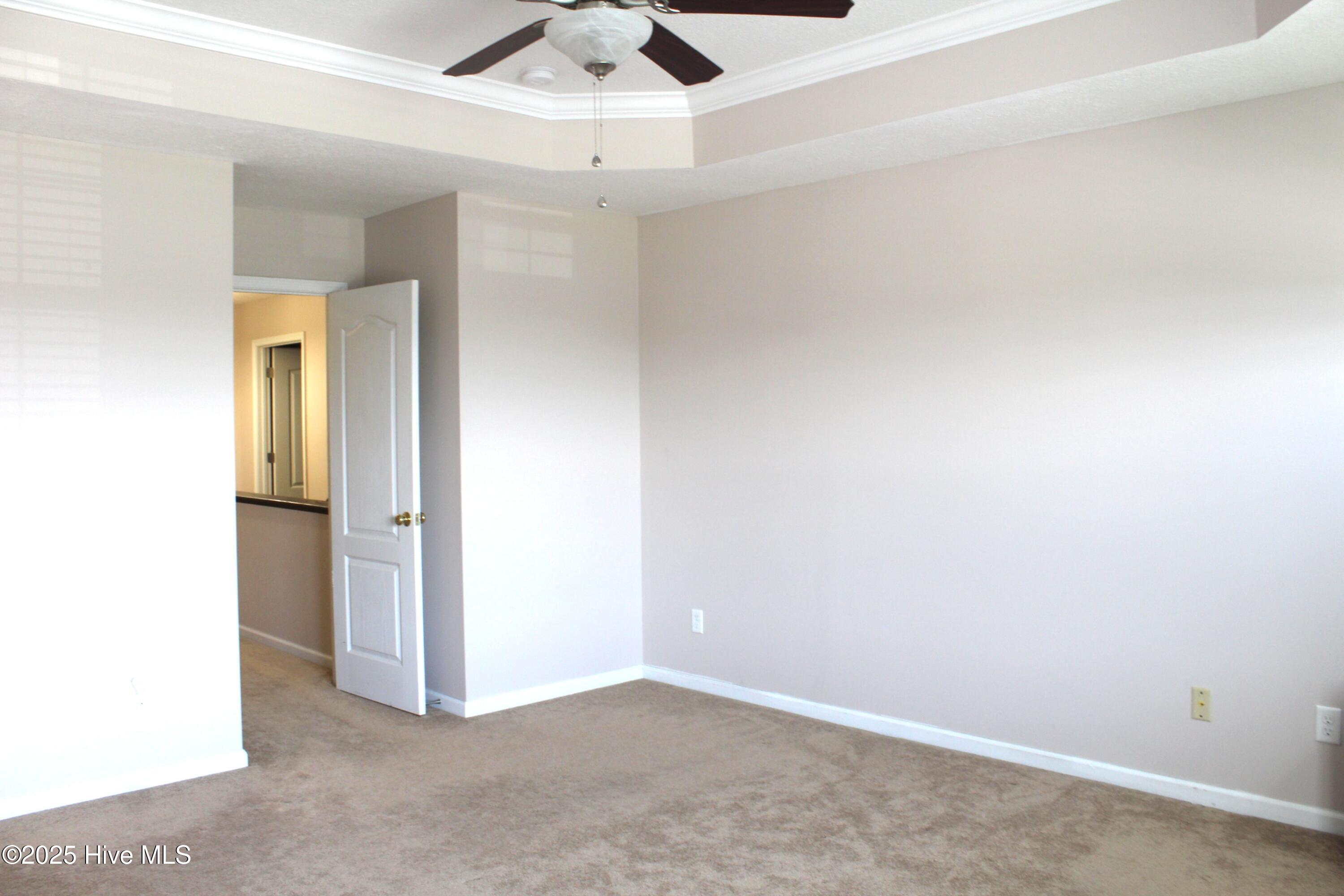 100555059 | Photo 20