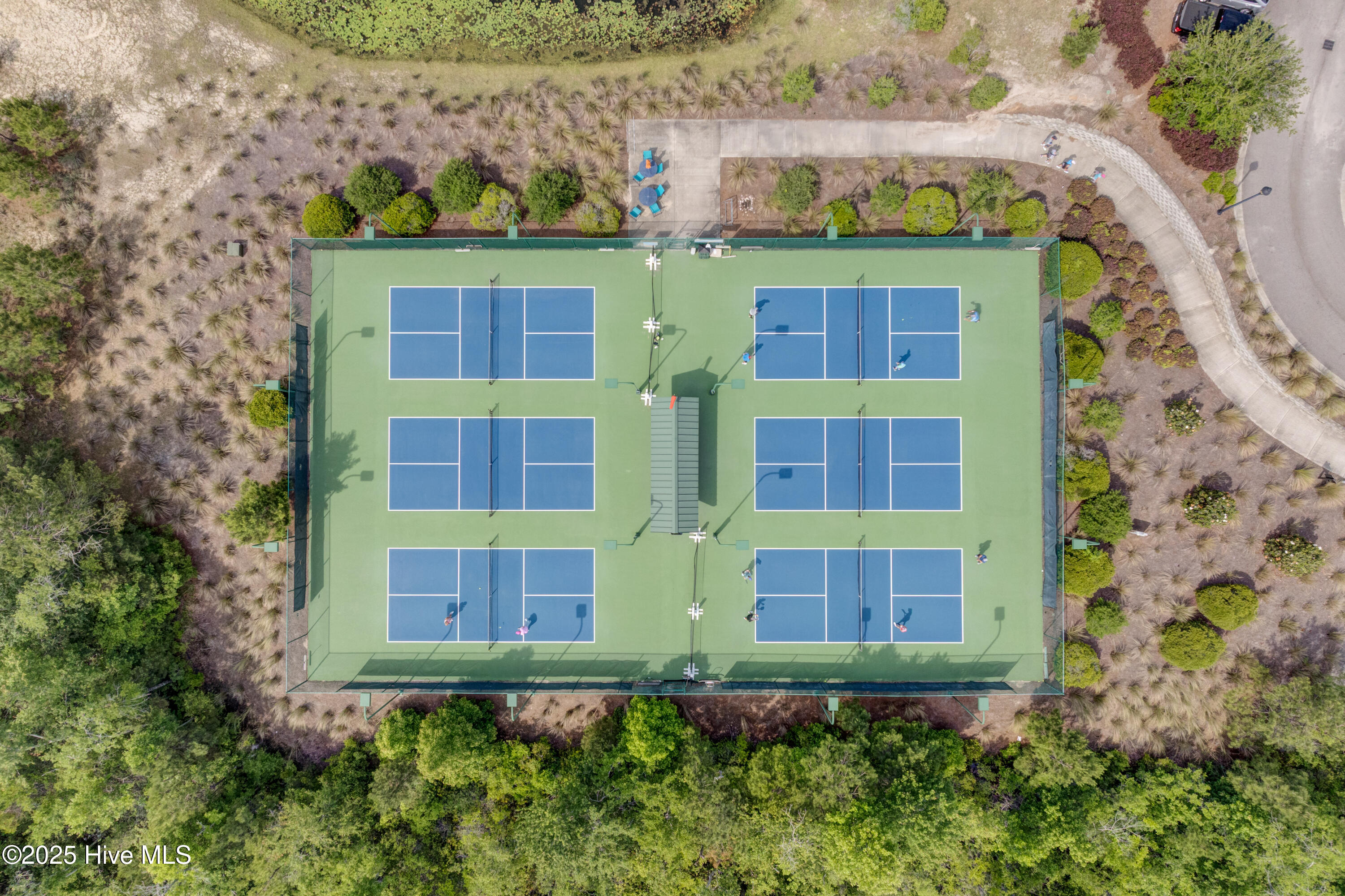 100527898 | Photo 100