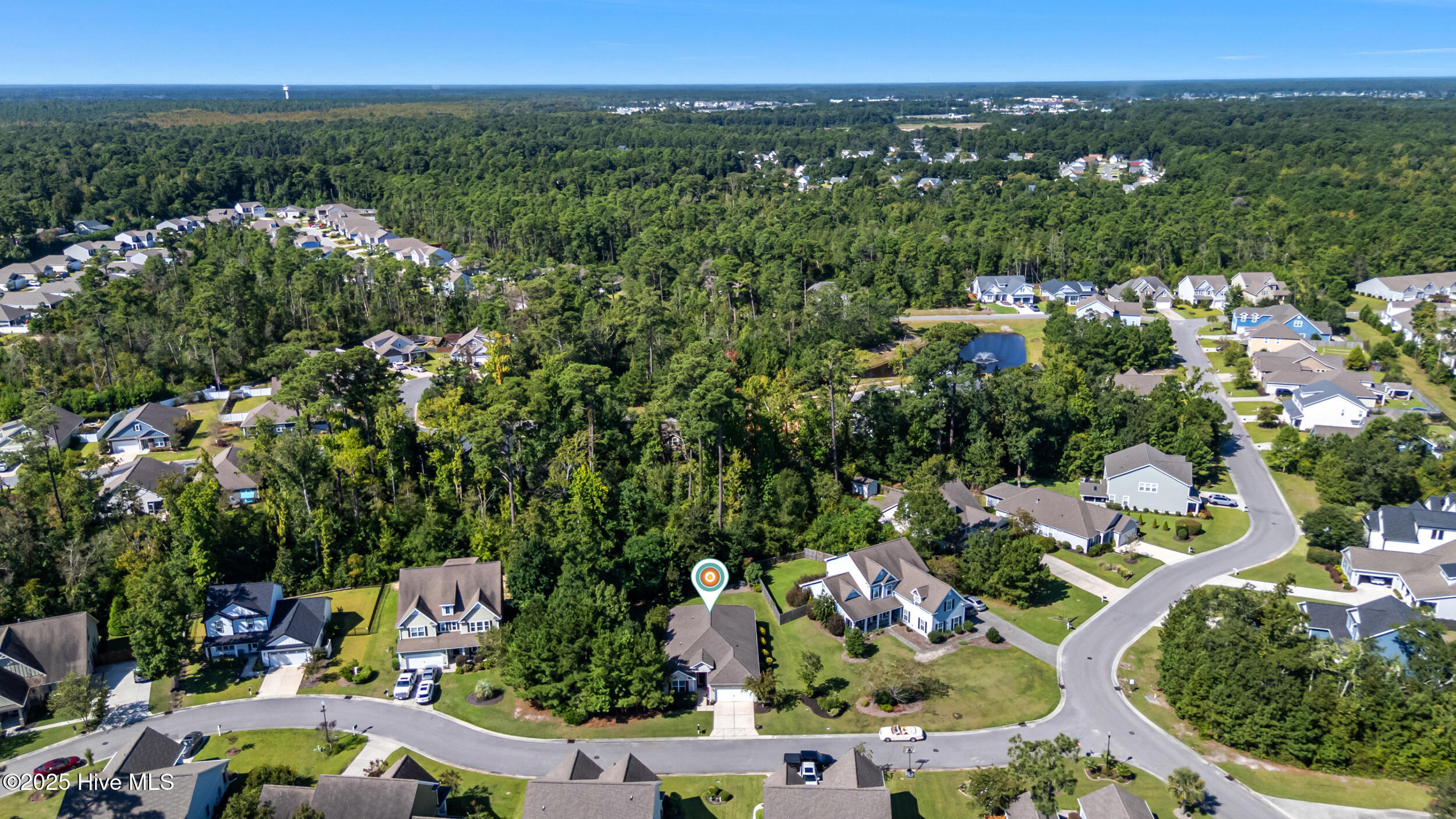 100529345 | Photo 48