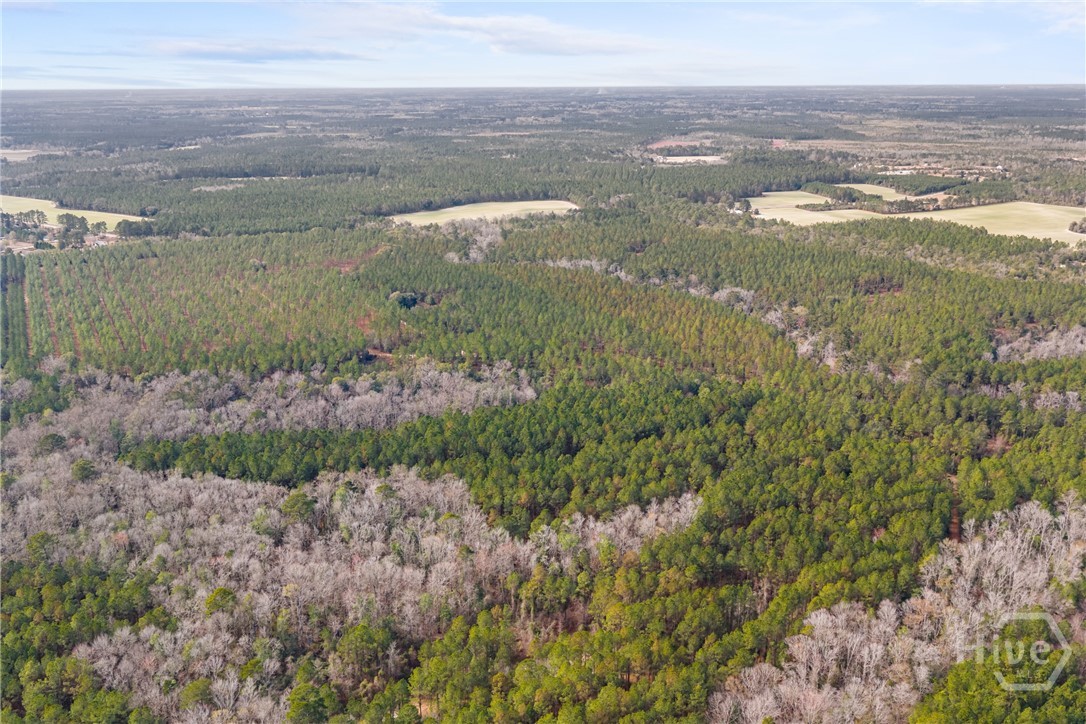 1000 Old River Road S, Brooklet, GA, 30415