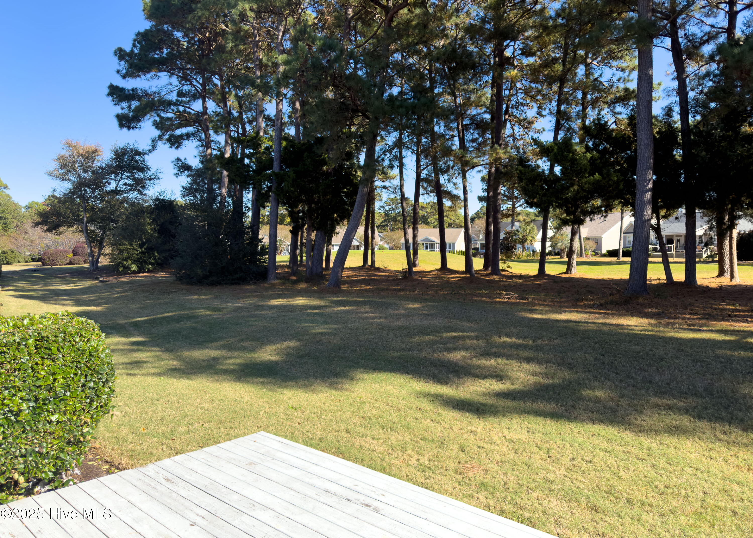 100540953 | Photo 24