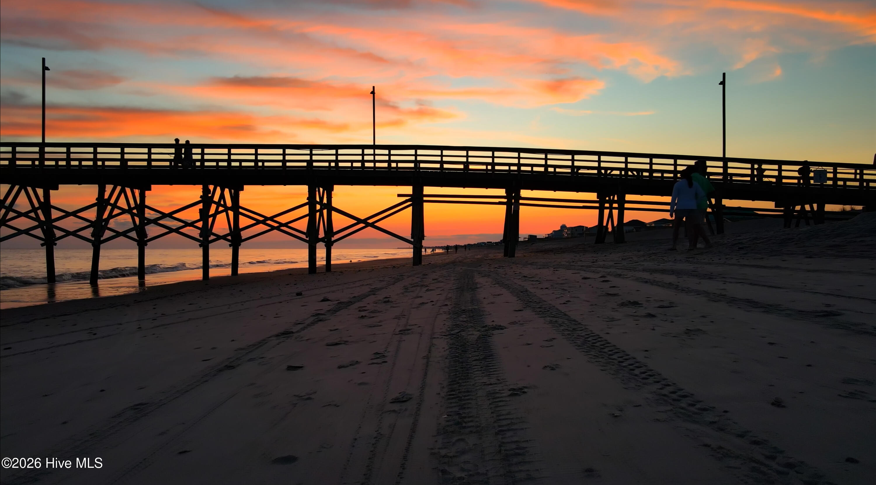 100561185 | Photo 98