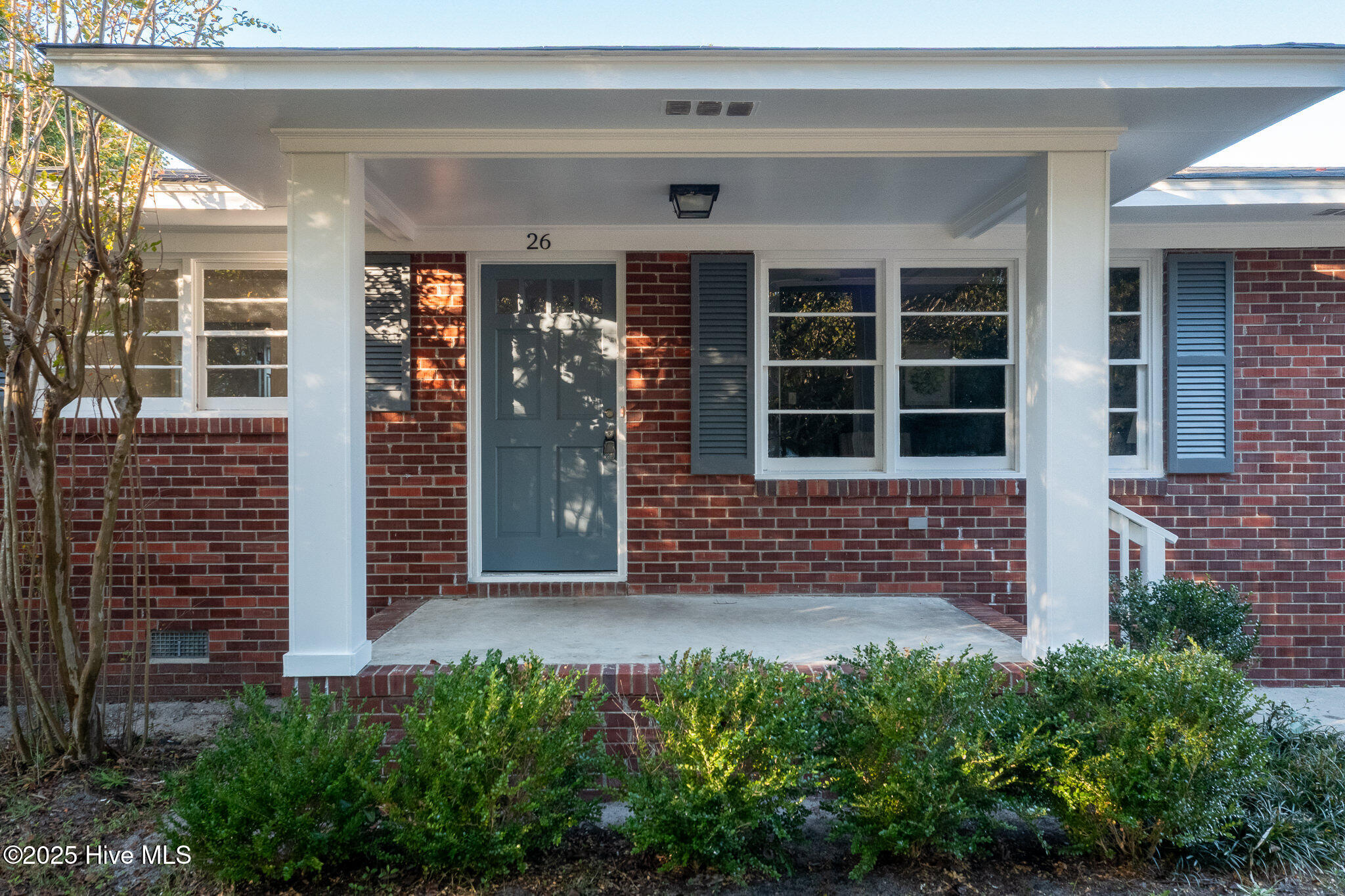 100536534 | Photo 29