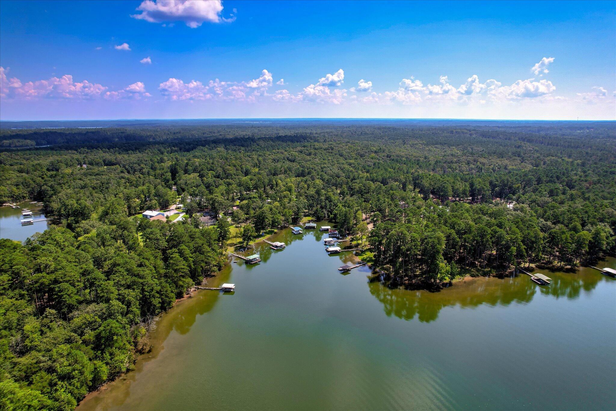 Homes for sale in Lincolnton, GA | 1129 Lakeside Dr, Lincolnton, GA 30817 | MLS# 553275