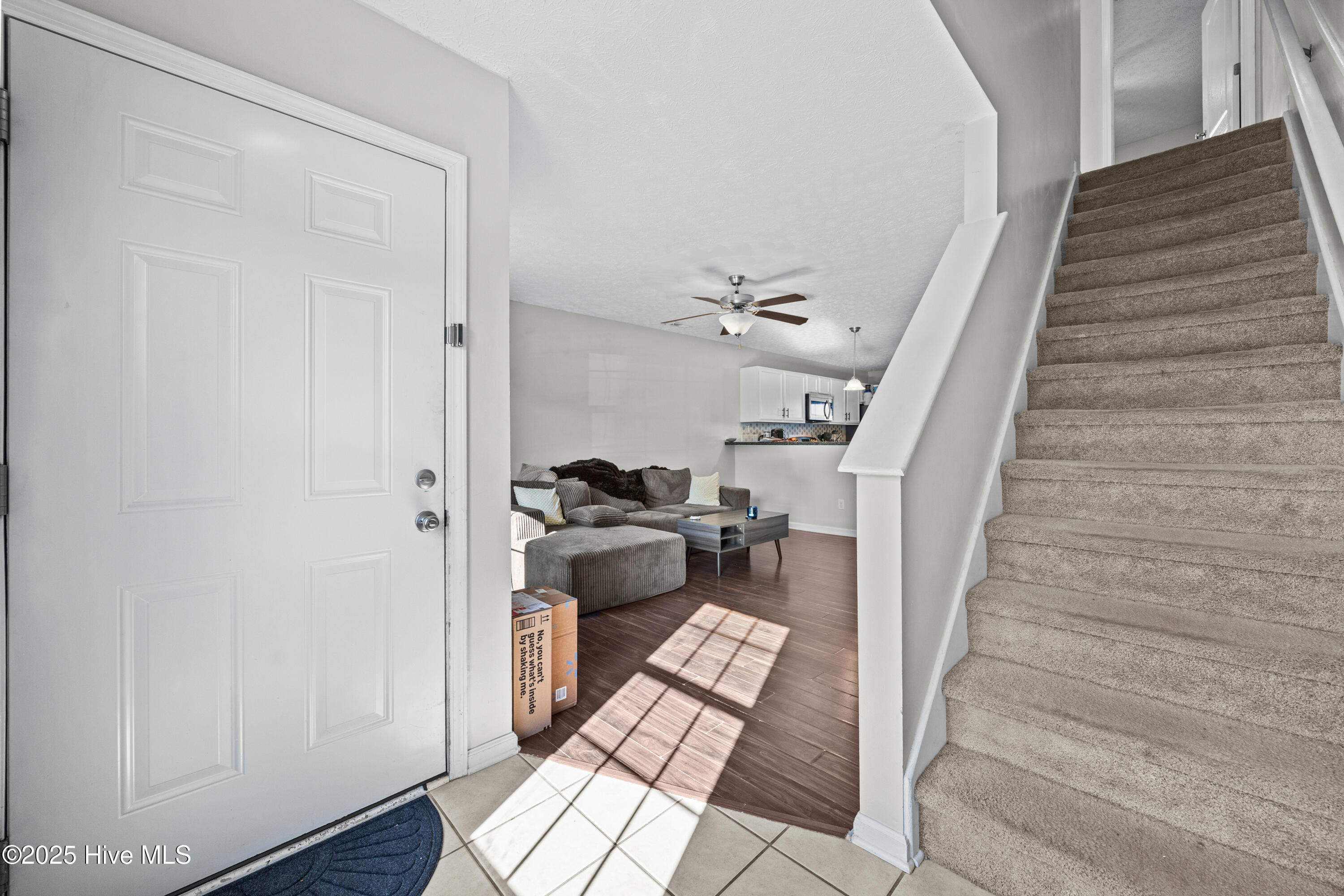 100545796 | Photo 11