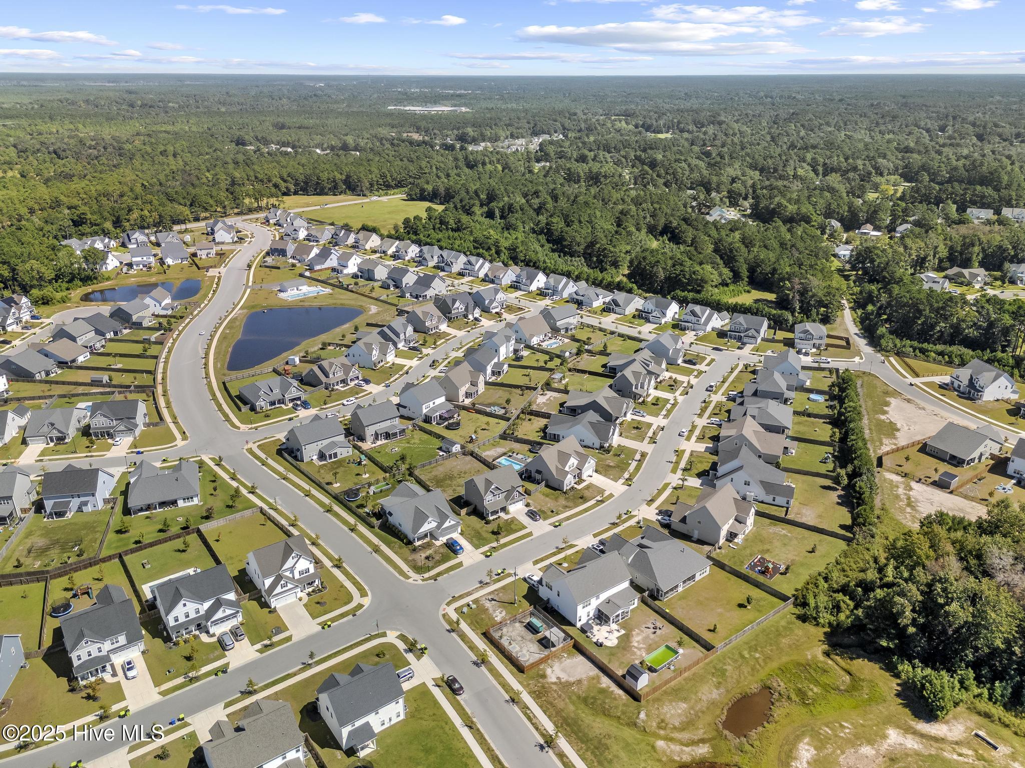 100528220 | Photo 50