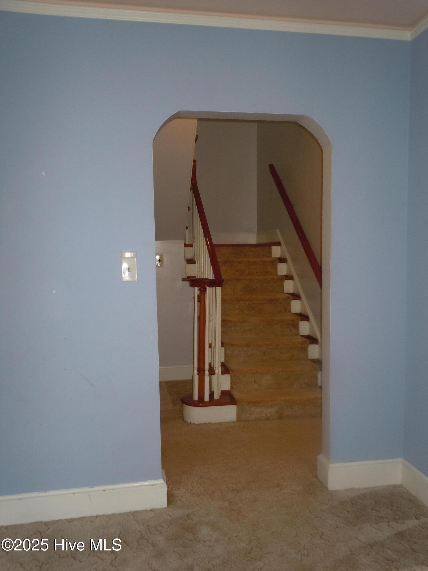 100536293 | Photo 19