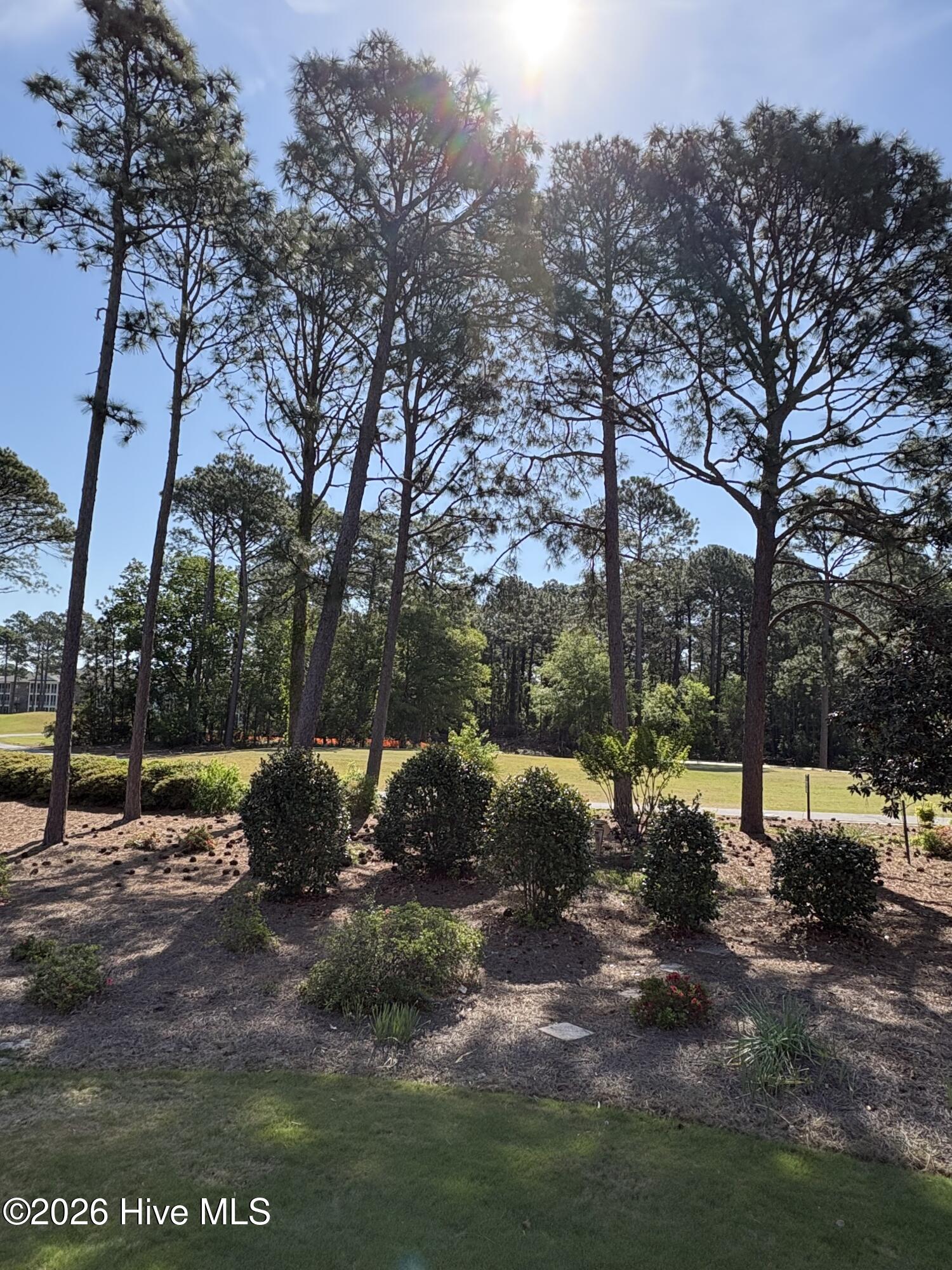 100567927 | Photo 15